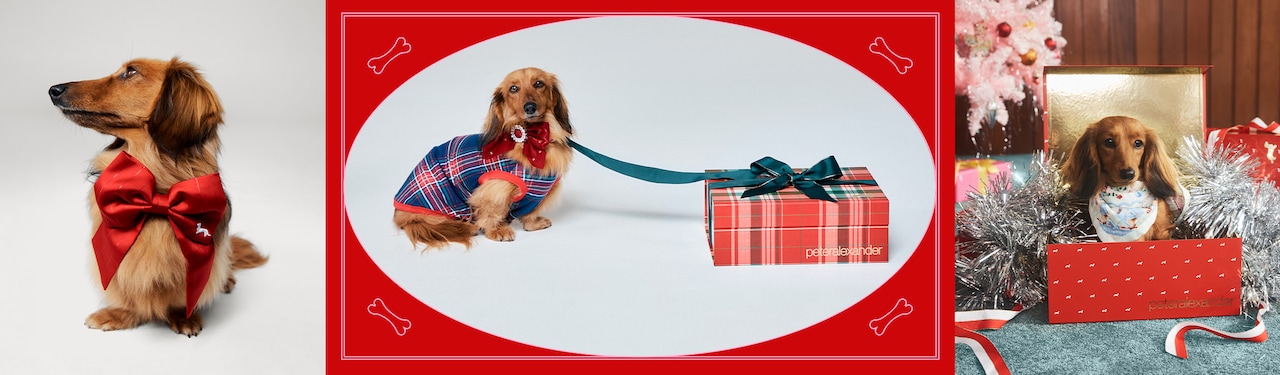 Gifts for Pups