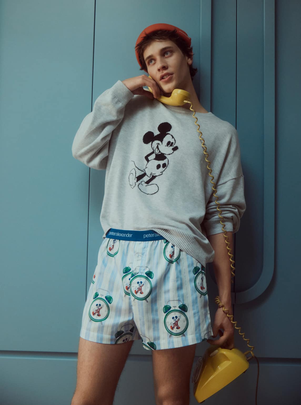 Disney Mickey Mouse House Catalogue