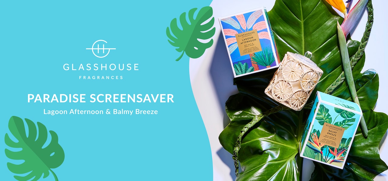 Freedom of the horse - Sweet Leather & Sunflowers