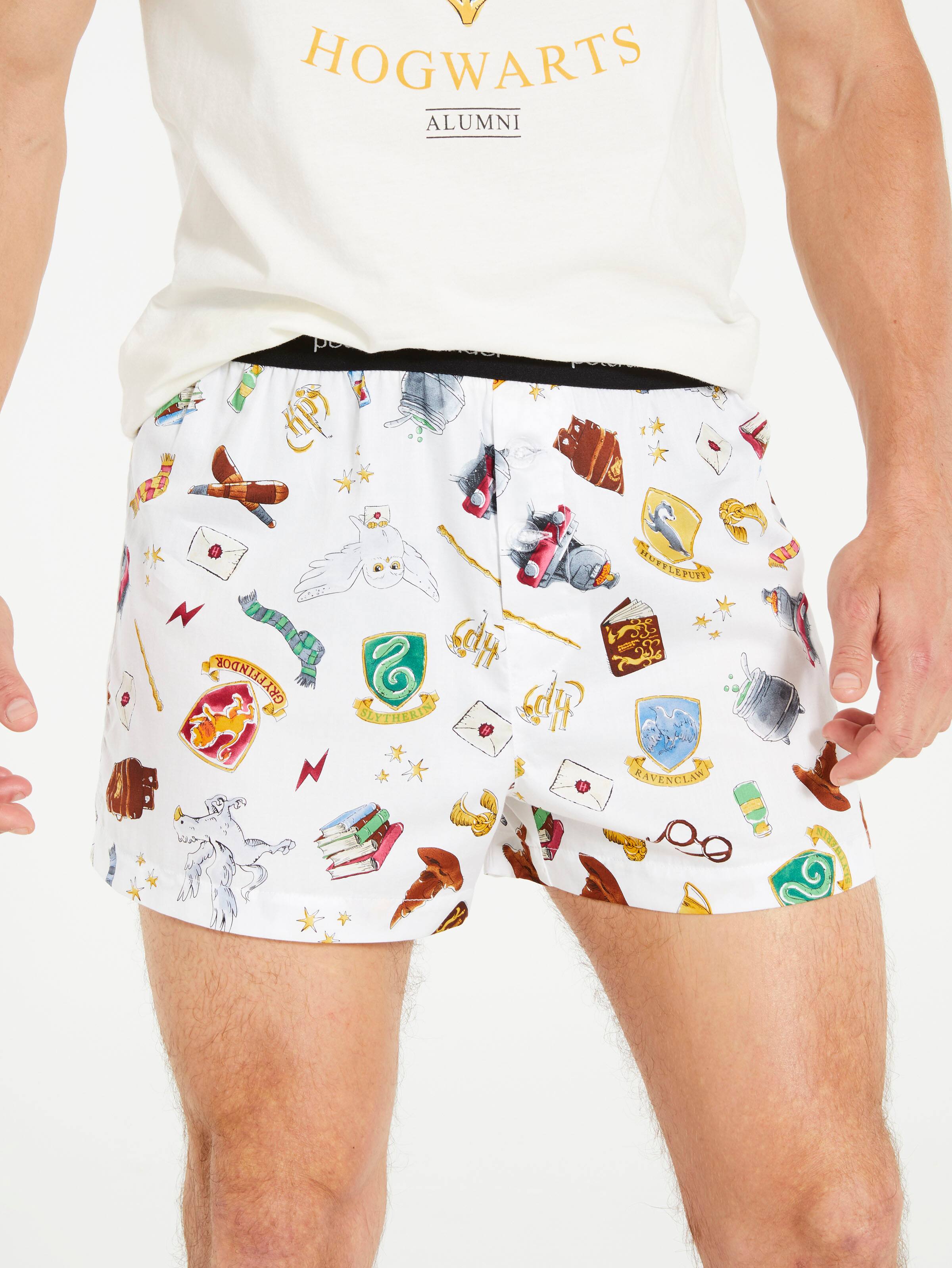 Harry Potter Icons Boxer Short