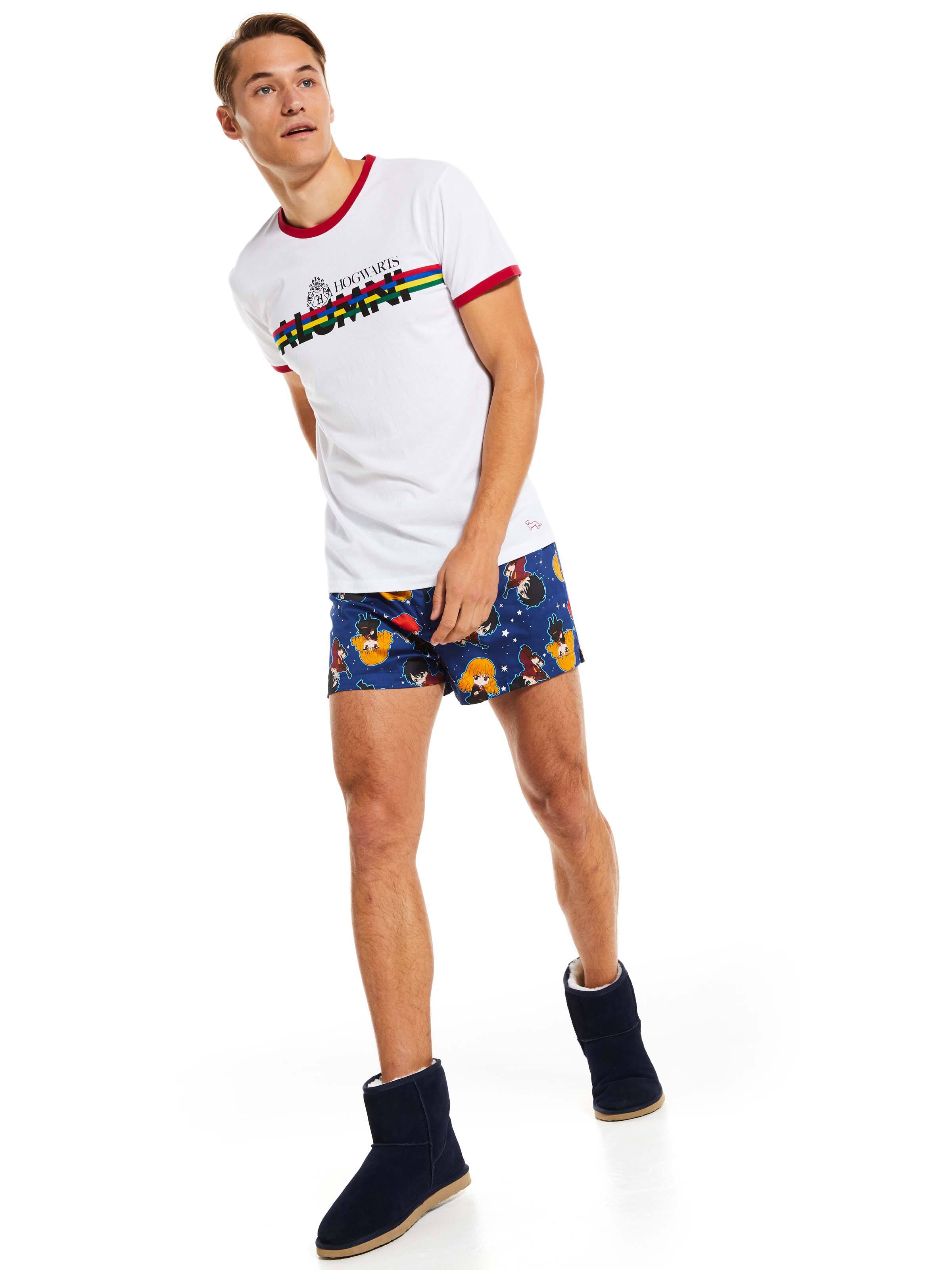 Harry Potter Hogwarts Alumni Tee