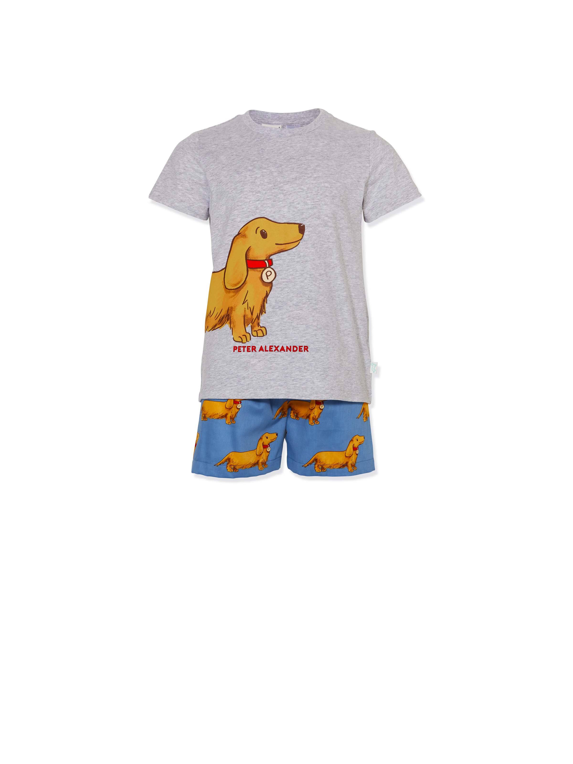 Jnr Boys Penny Dog Short Sleeve Pj Set