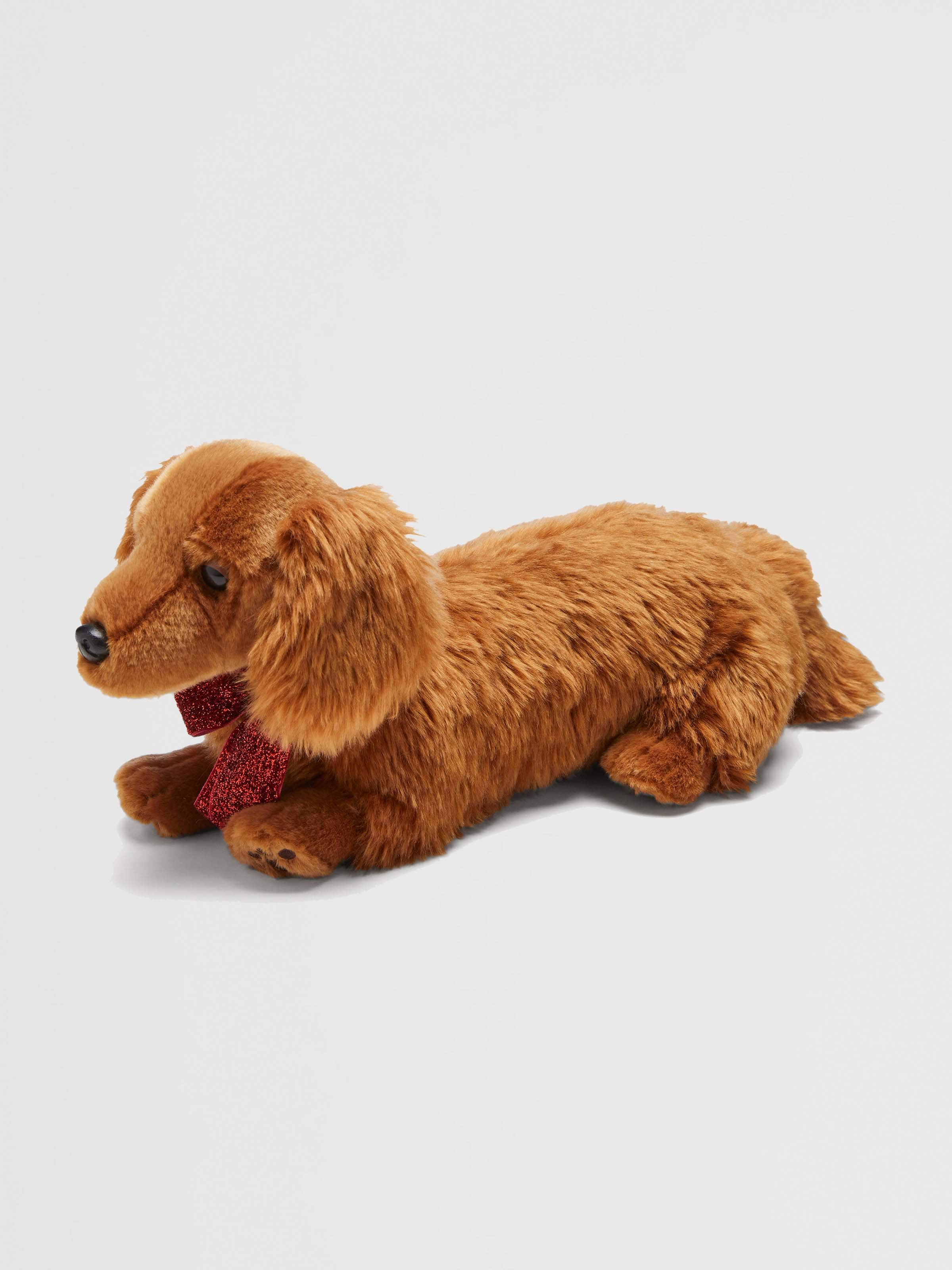 sausage dog teddy