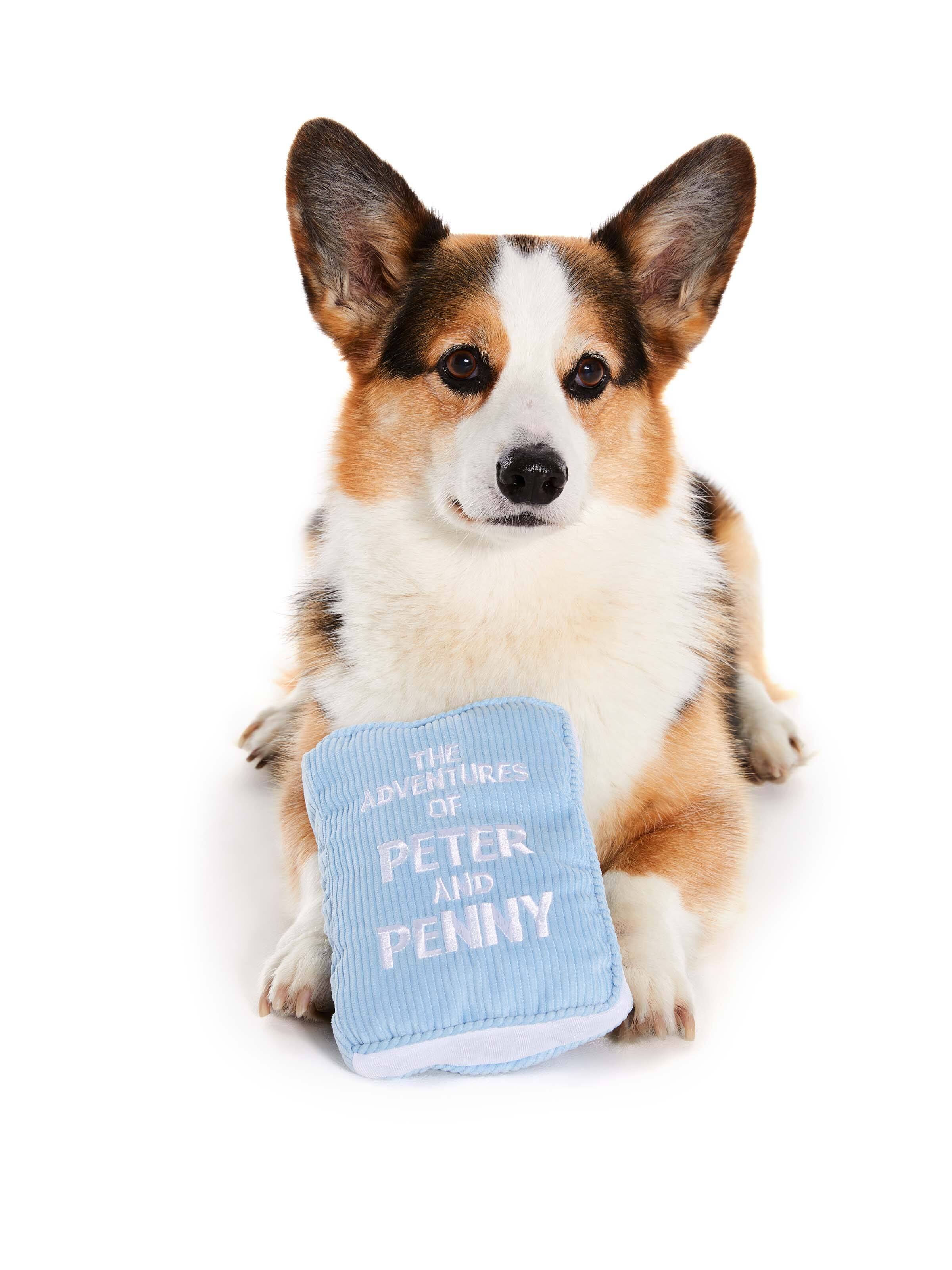 Adventures Of Peter And Penny Book Dog Toy