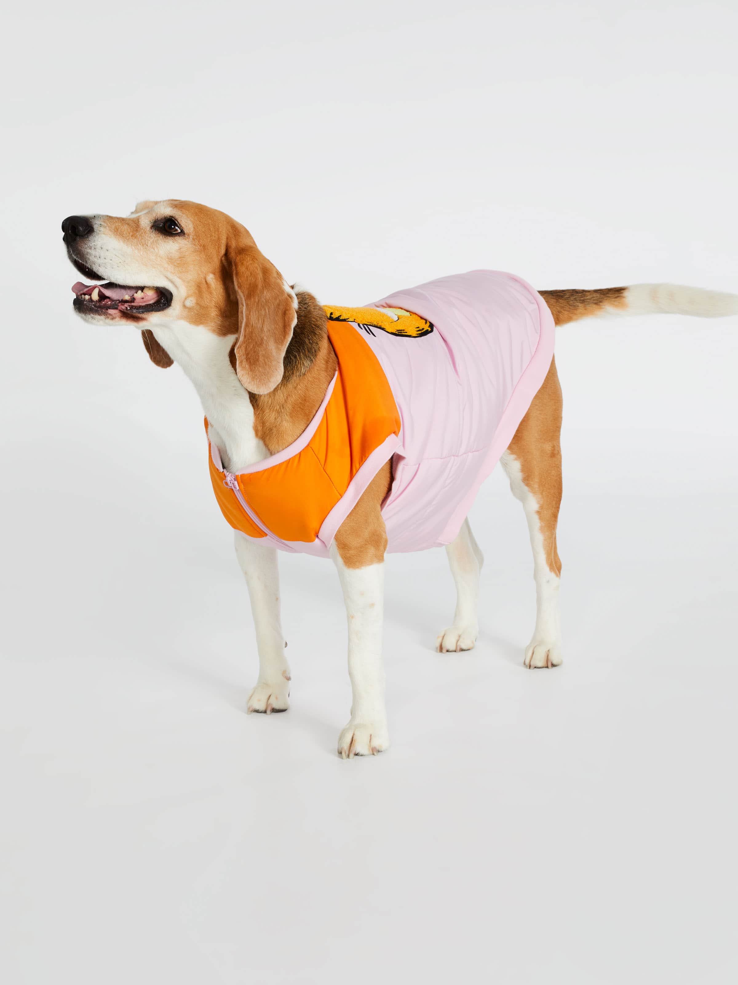 peter alexander dog clothes