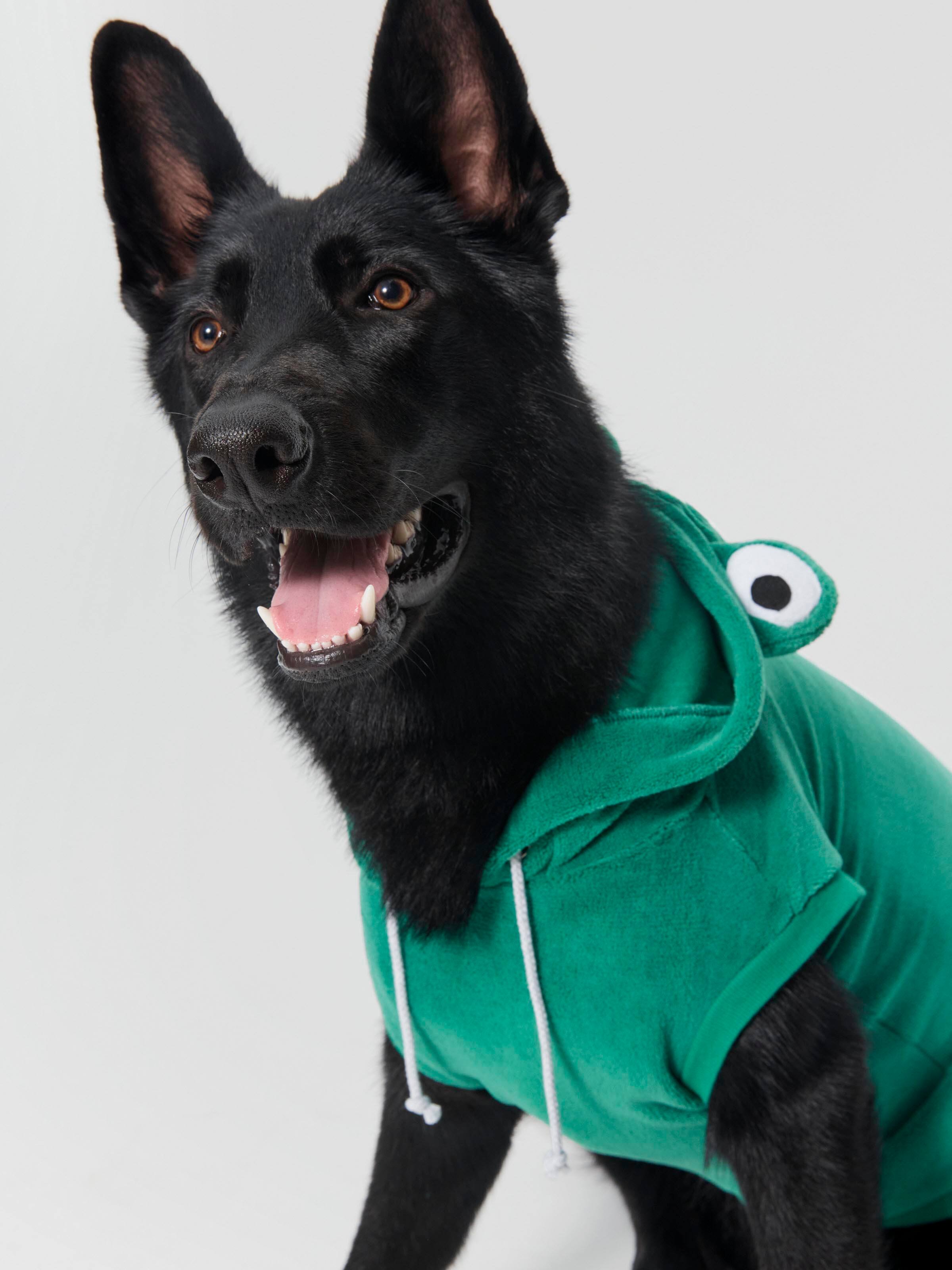 peter alexander dog clothes