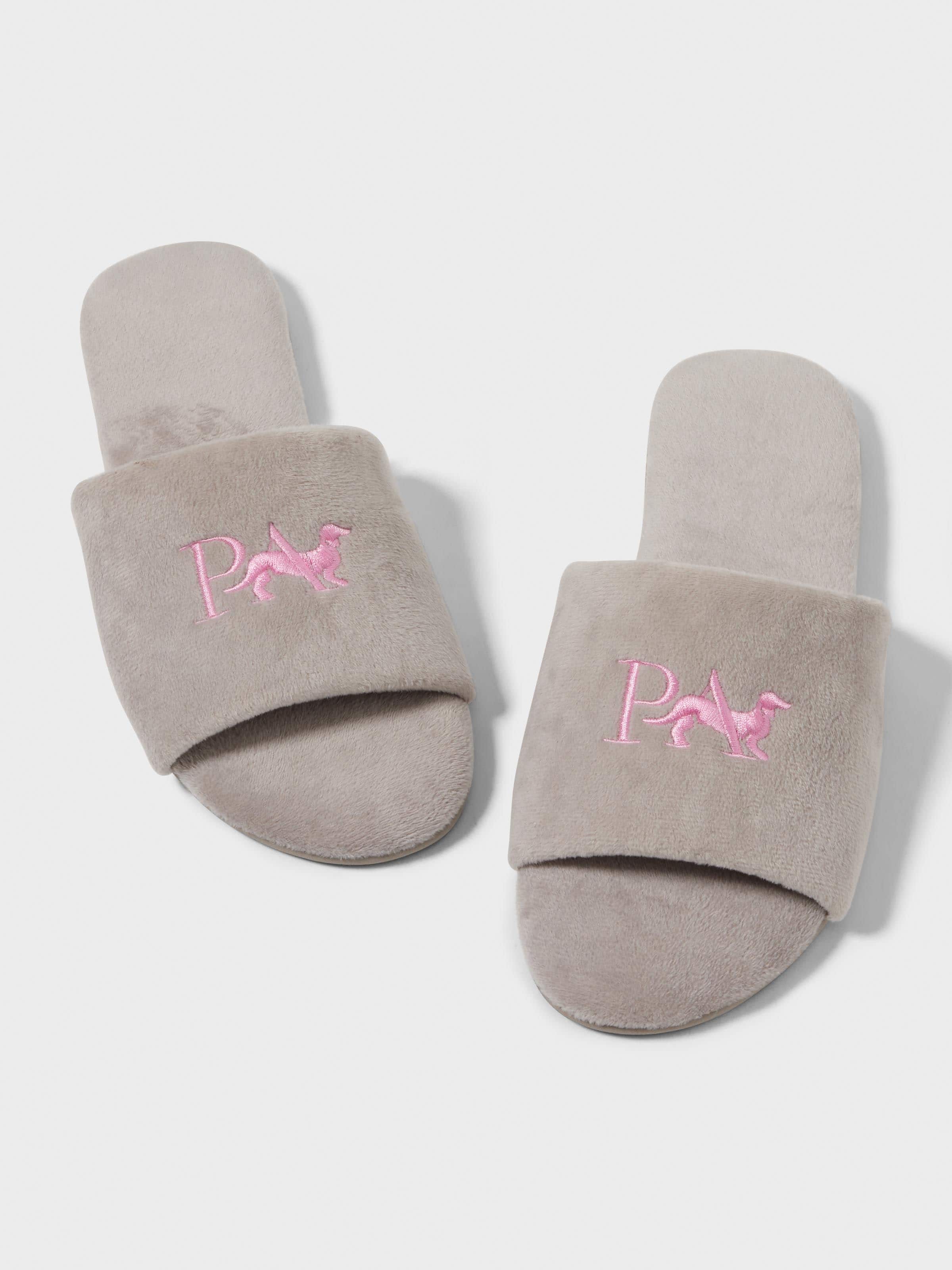 Penny Logo Slide