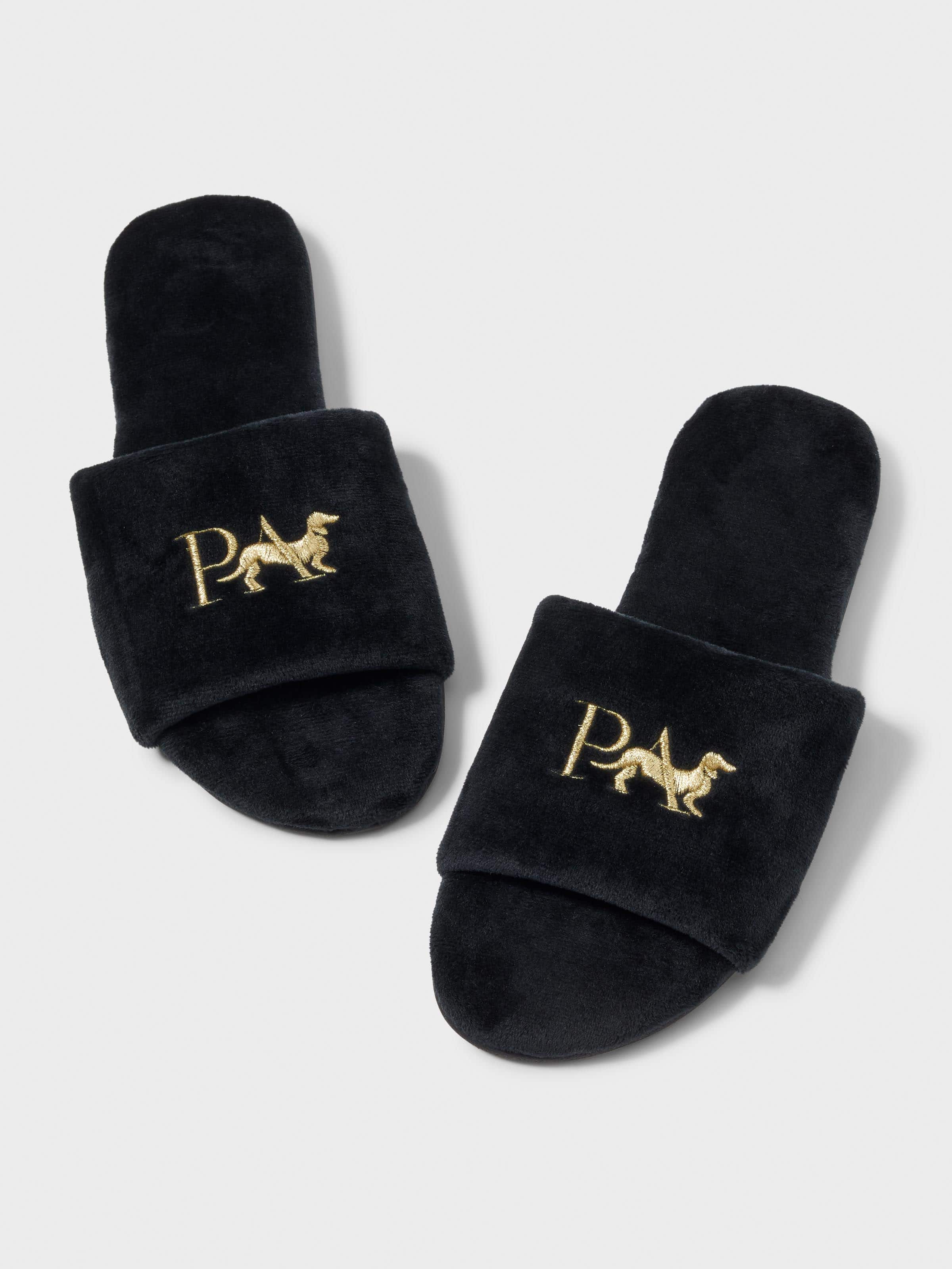 Penny Logo Slide