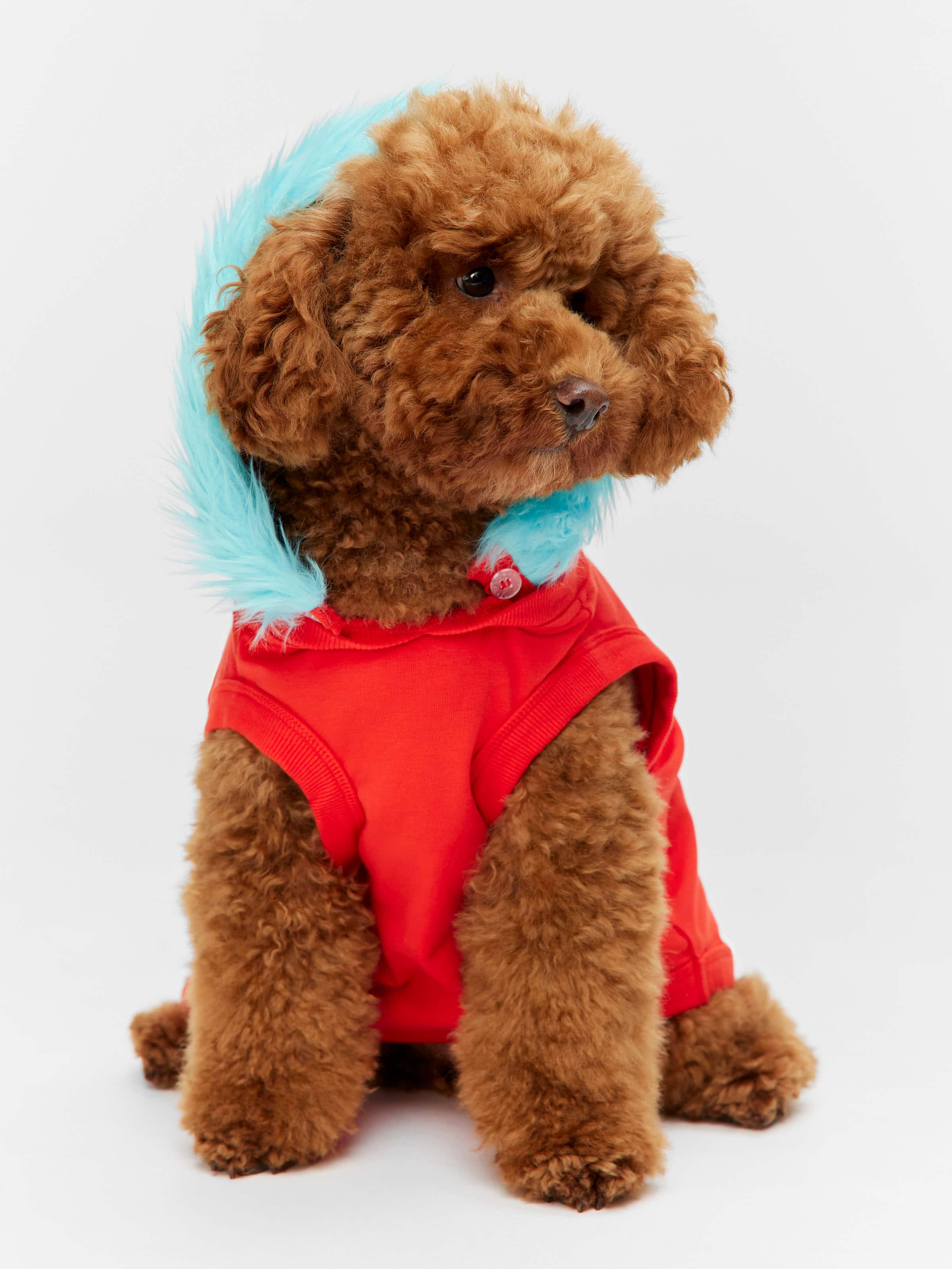 Dr Seuss Thing 2 Dog Tee