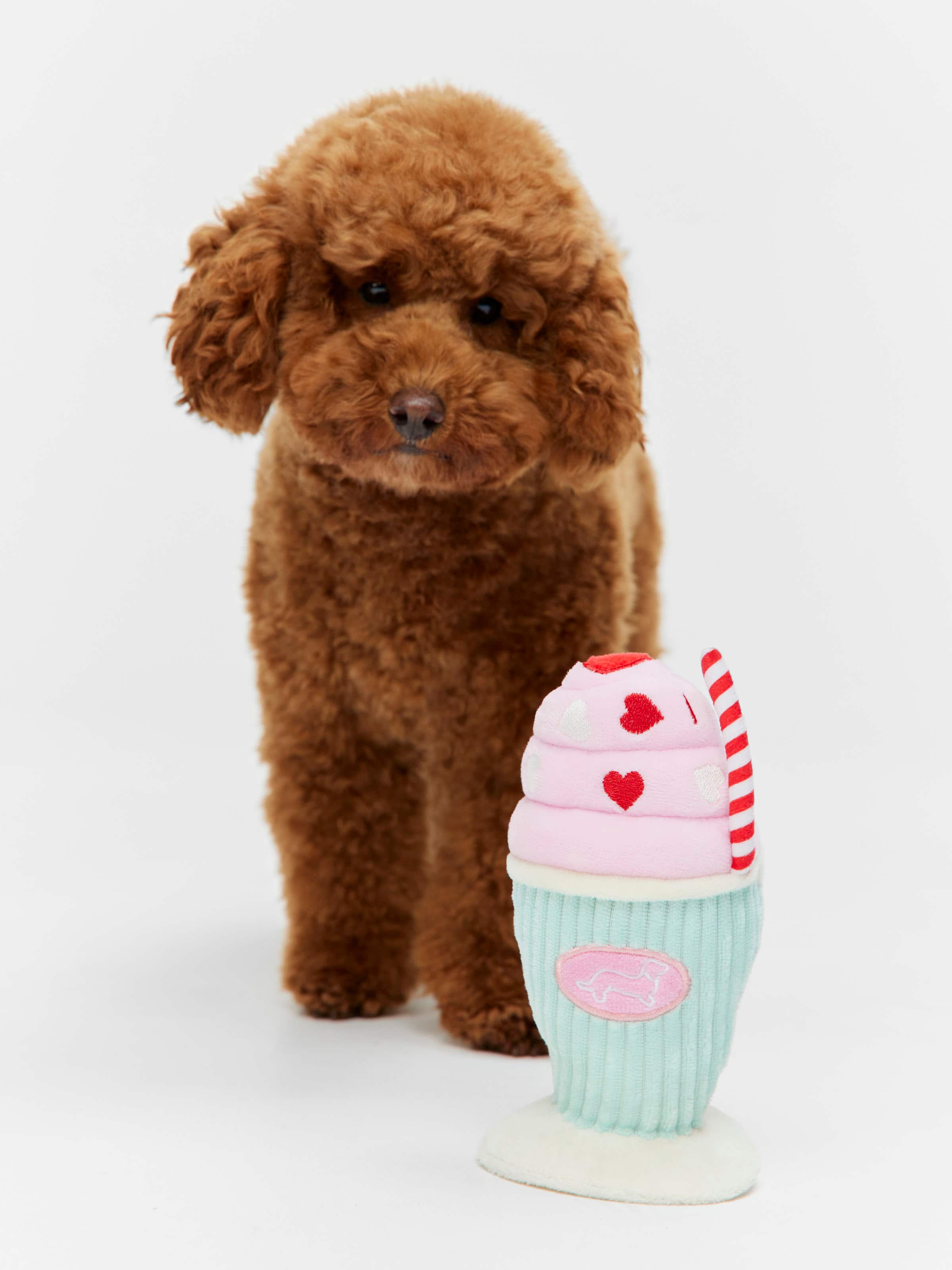Dog Sundae Toy