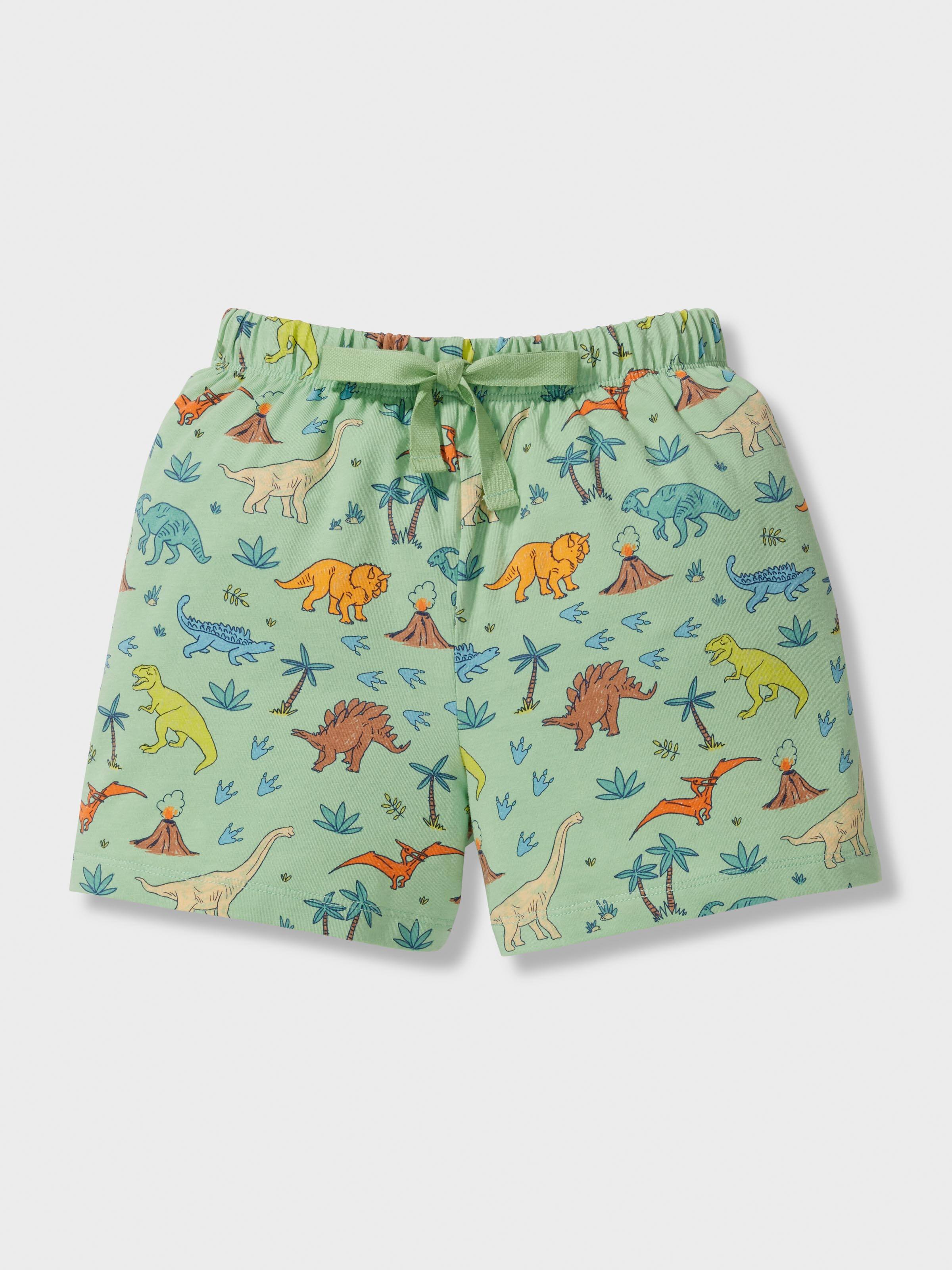 Jnr Boys Dinosaur Print Short Pj Set