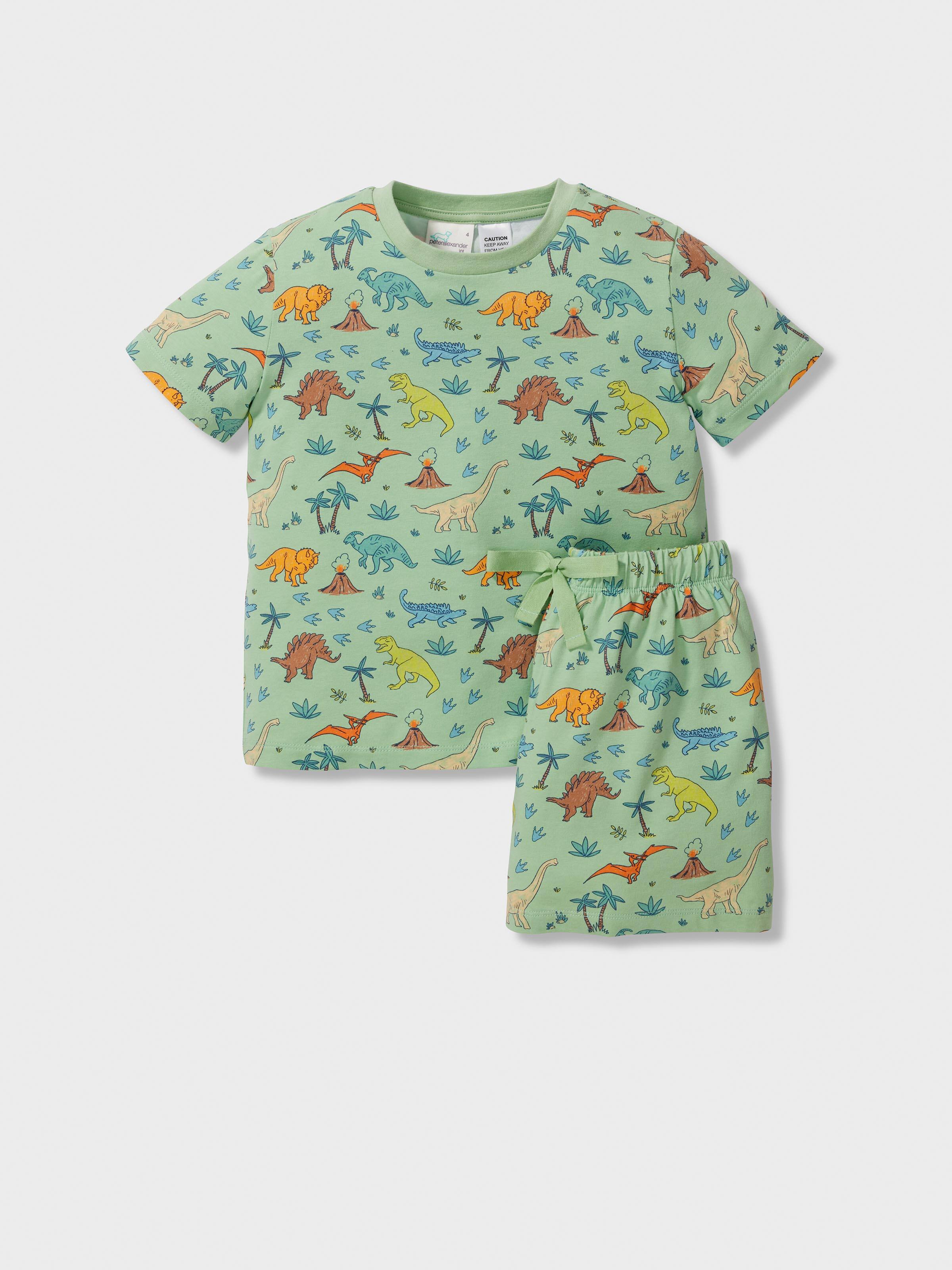 Jnr Boys Dinosaur Print Short Pj Set