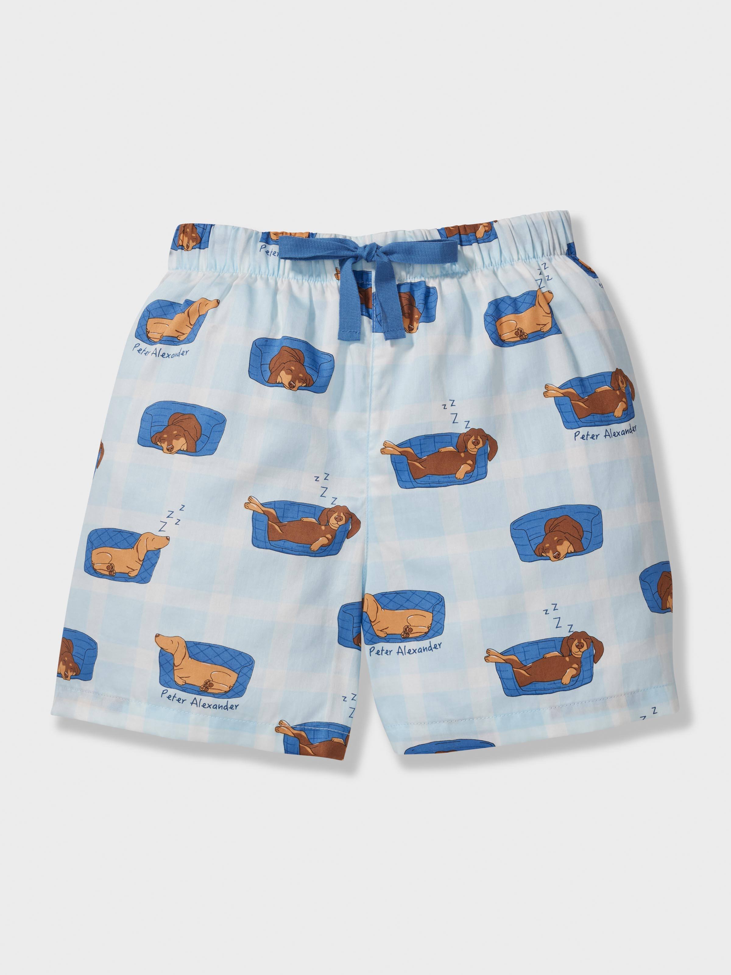 Boys Sleepy Puppy Short Pj Set