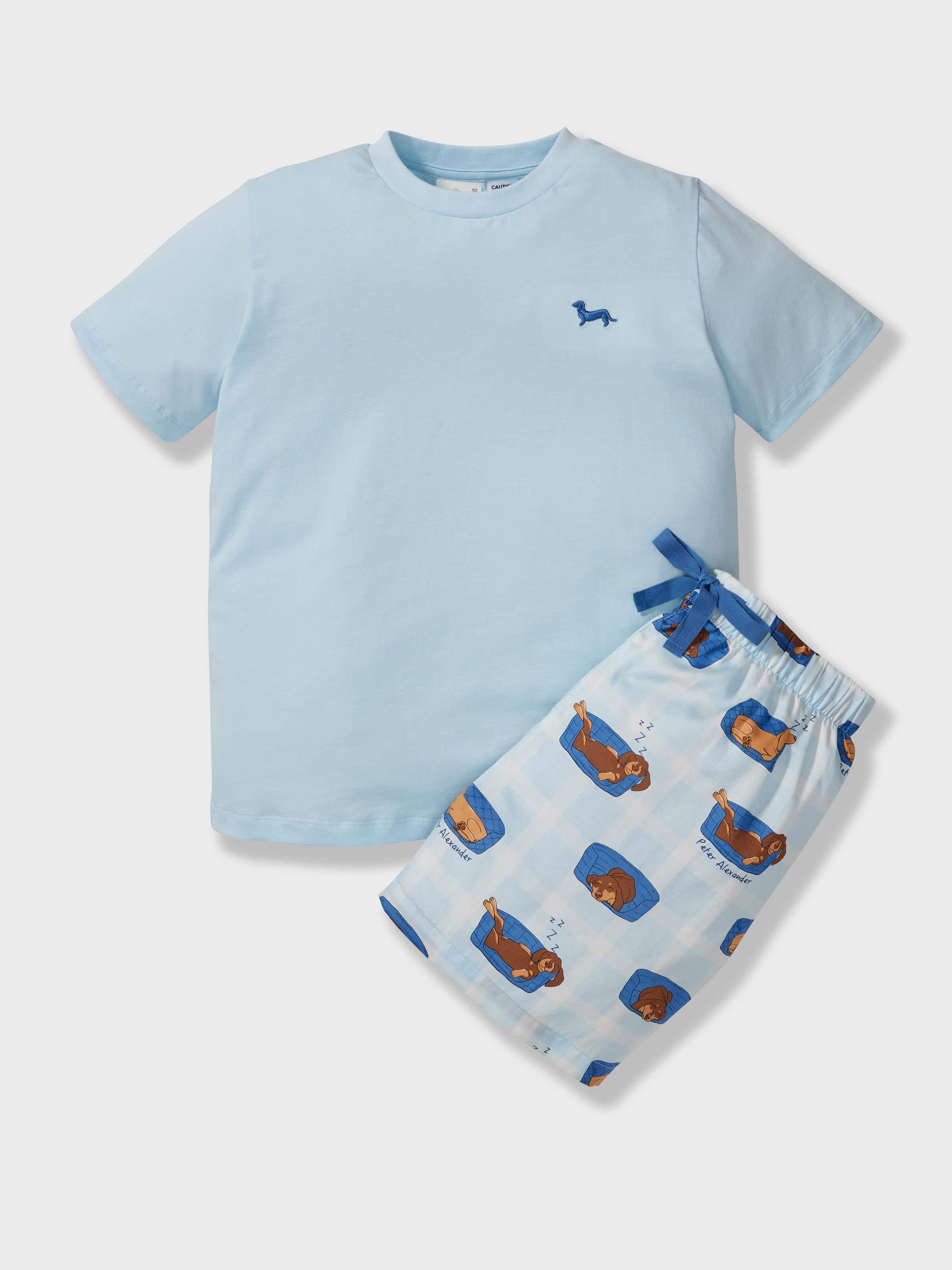 Boys Sleepy Puppy Short Pj Set