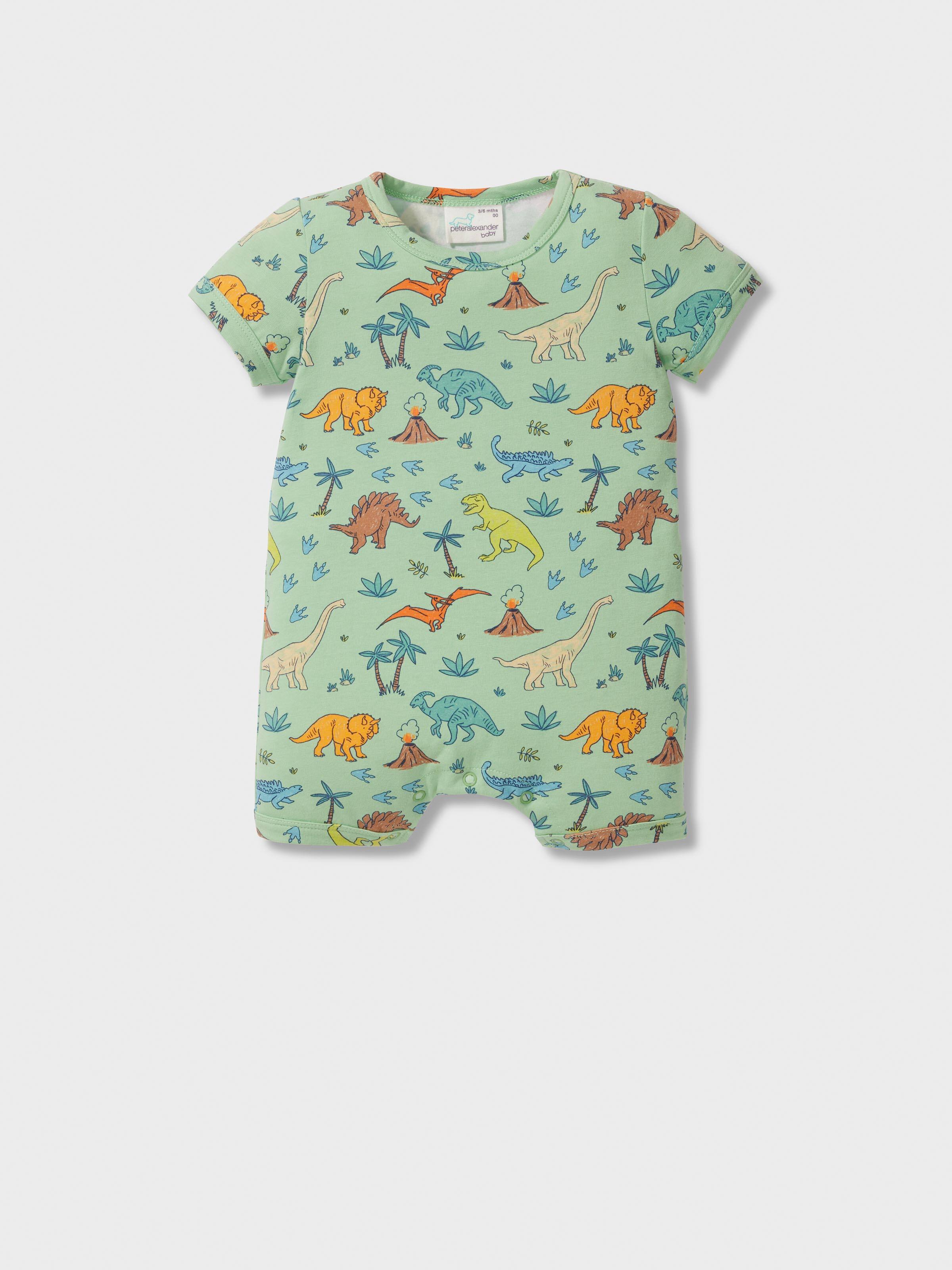 Baby Dinosaur Romper