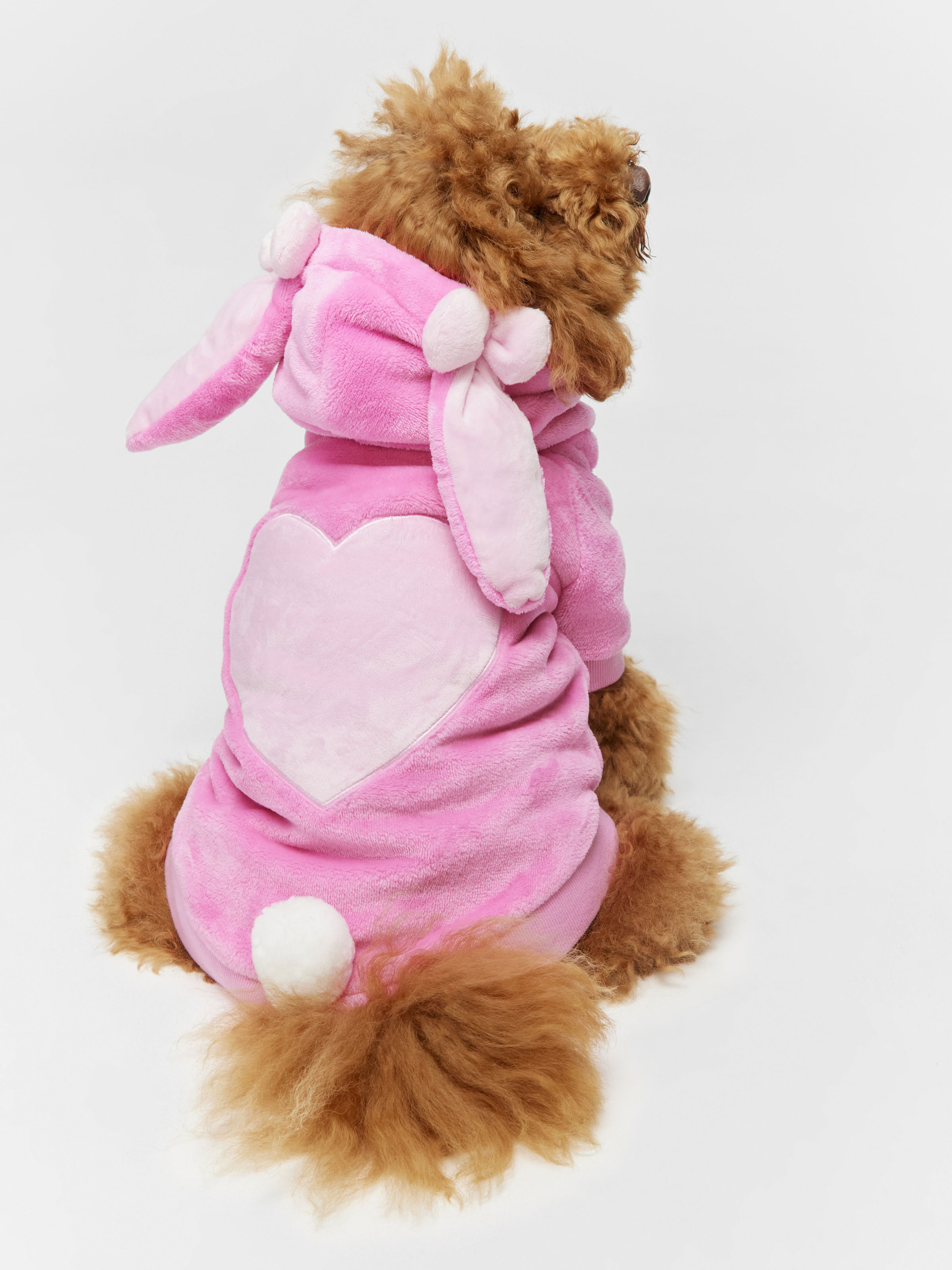 Bunny Dog Hoodie