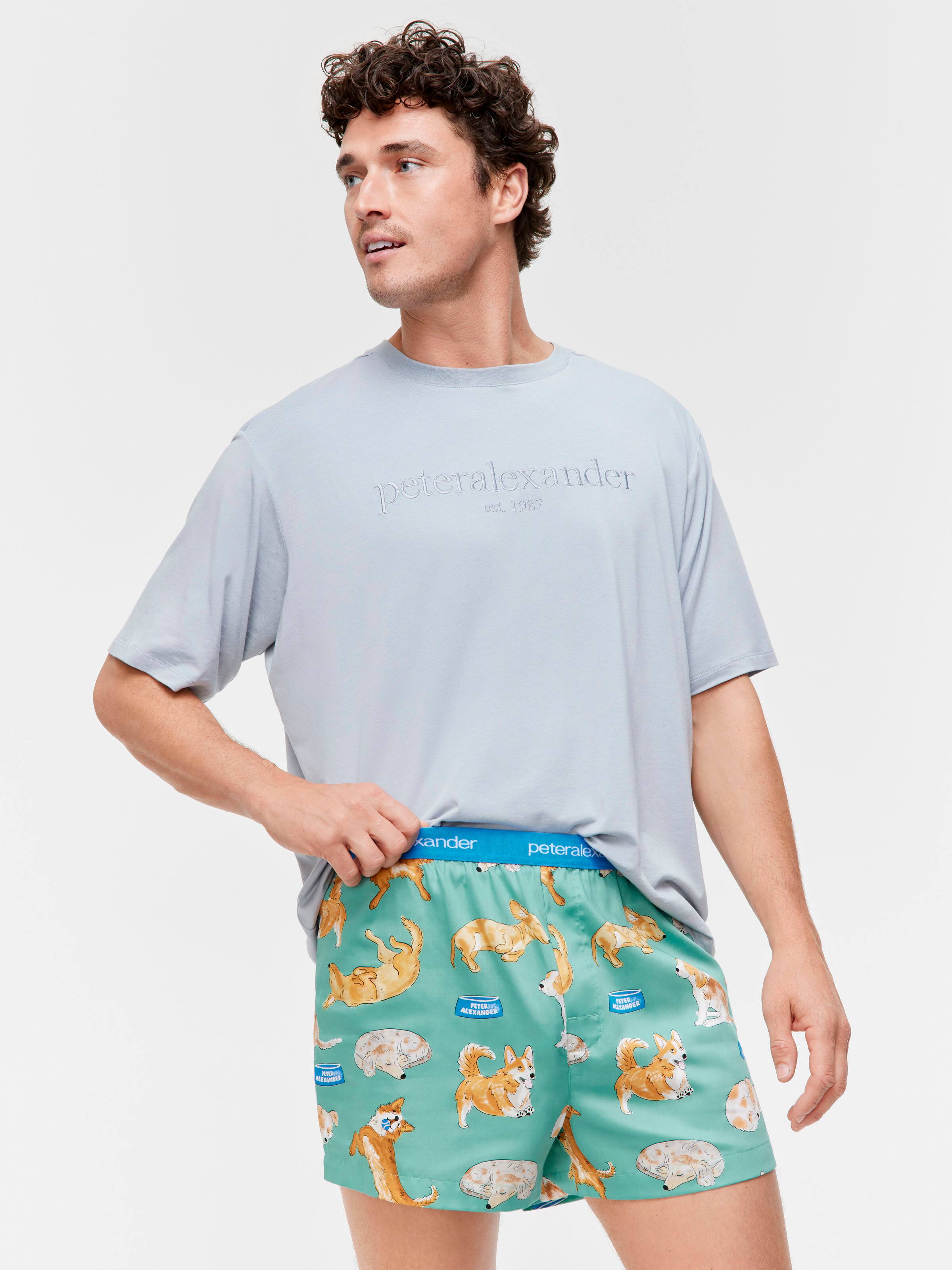 Multi Dog 100% Cotton Boxer Short