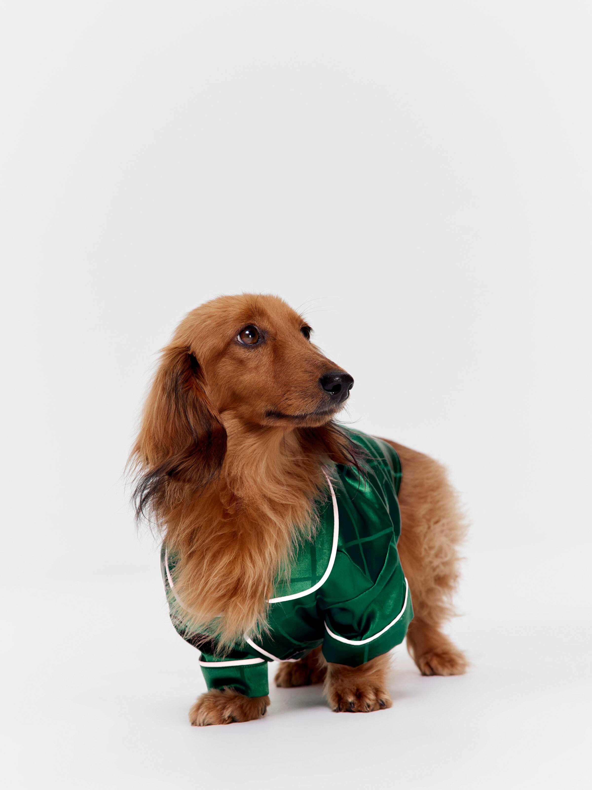 Green Check Satin Dog Tee