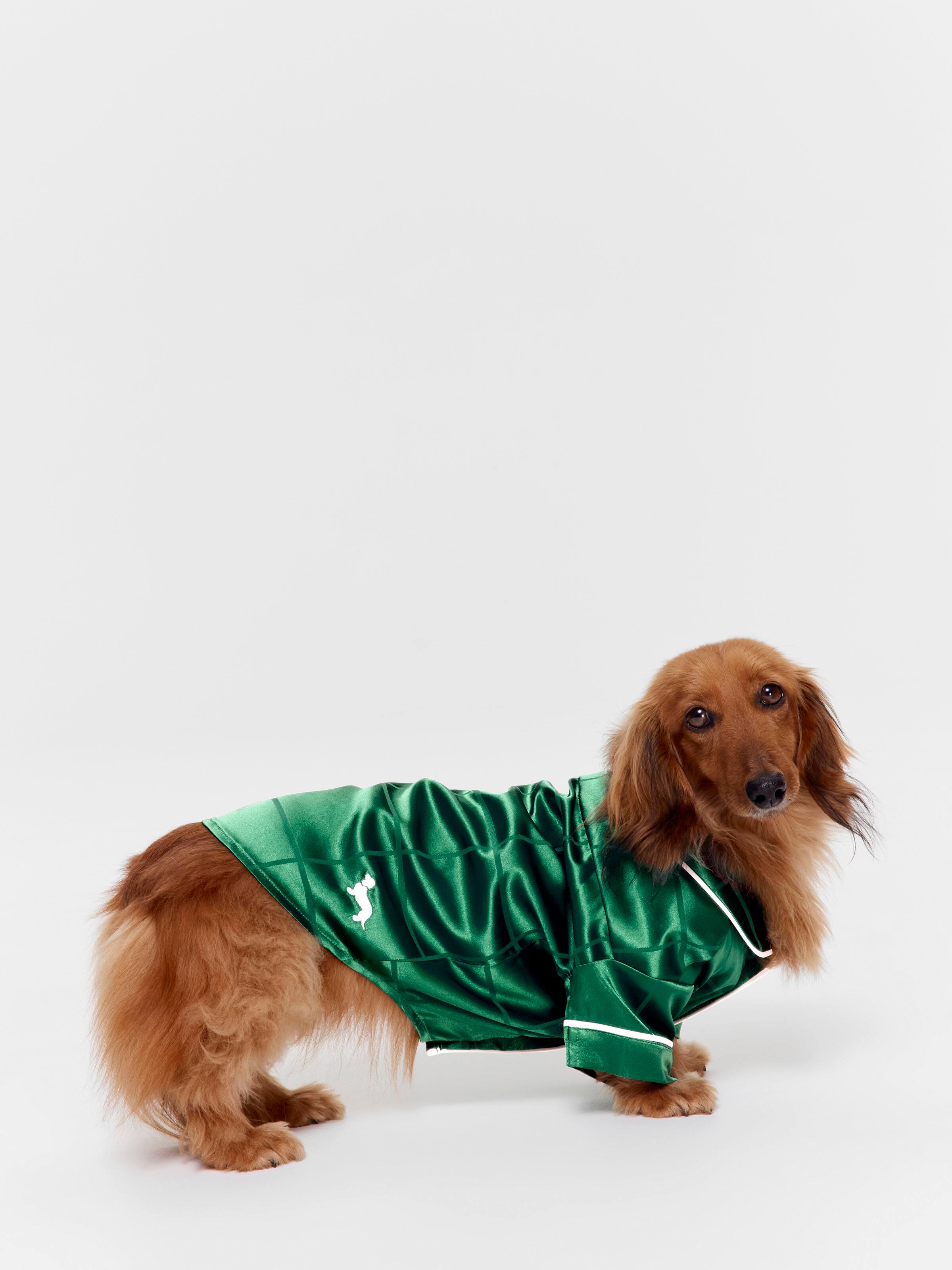 Green Check Satin Dog Tee