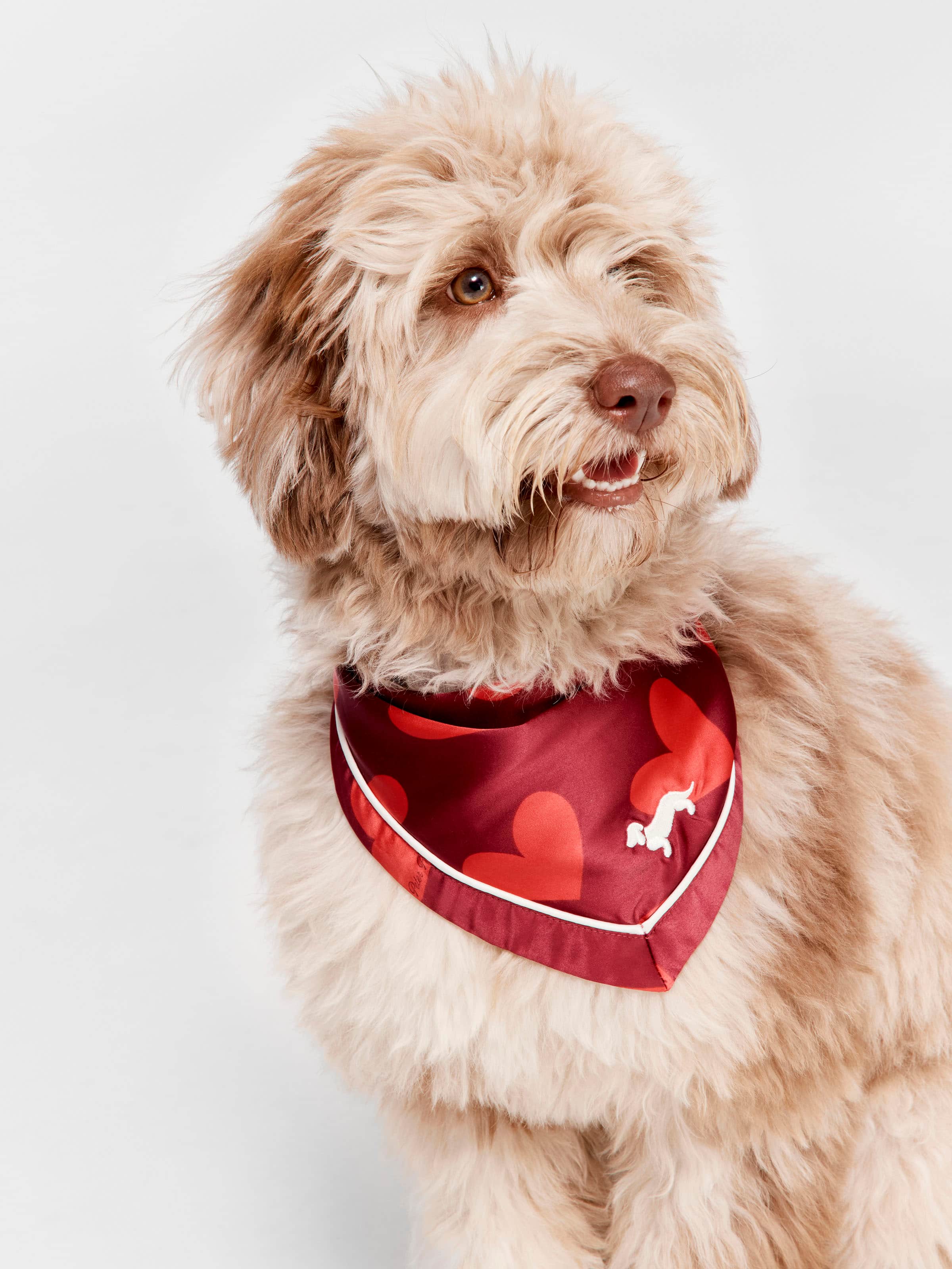 Satin Valentine Dog Bandana