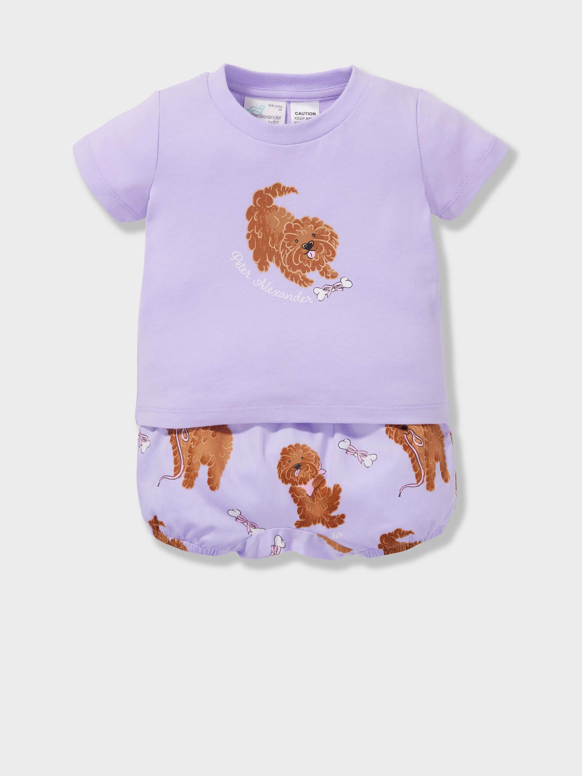 Baby Cavoodles Short 100% Cotton Short Pj Set