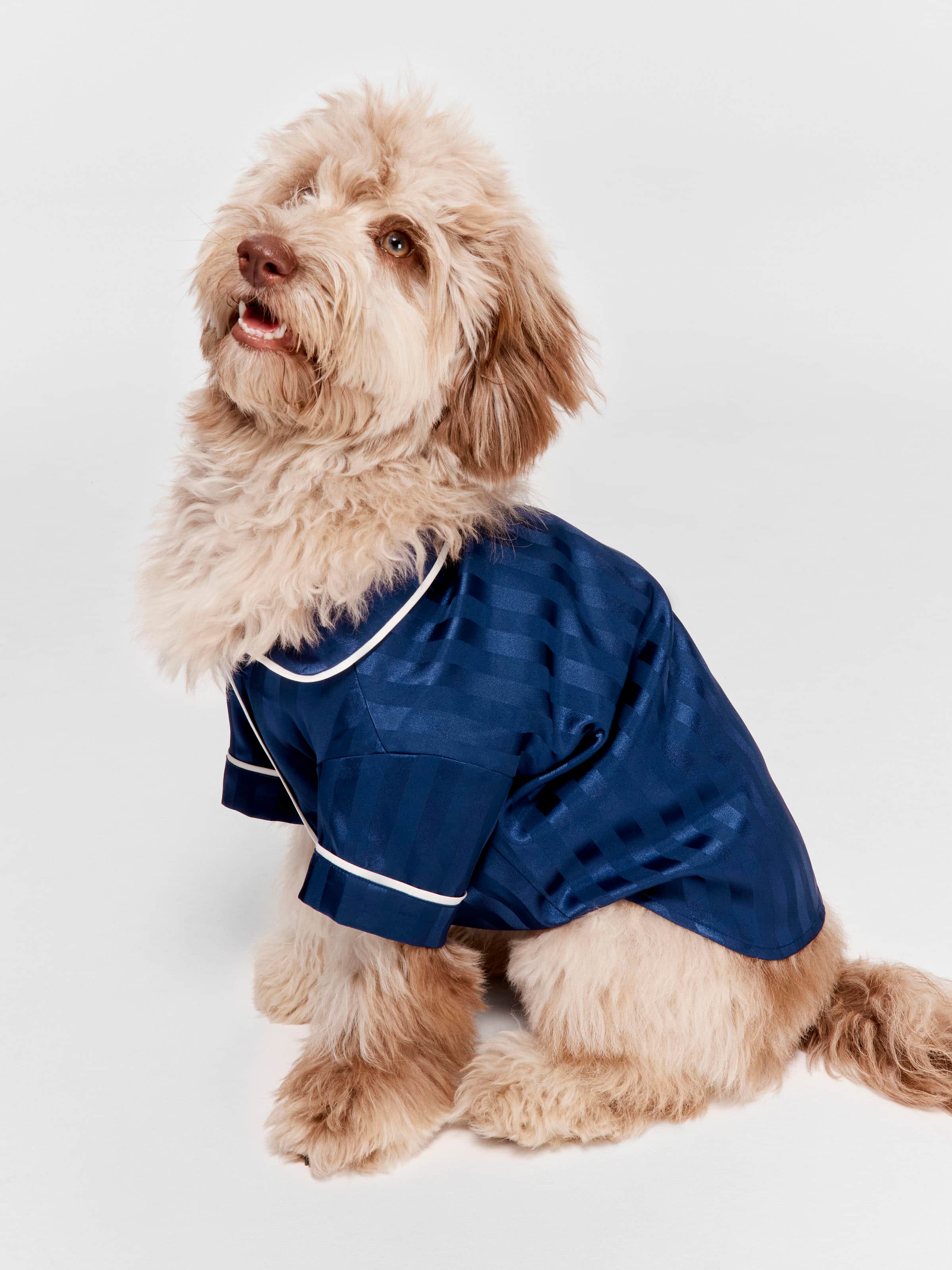 Navy Self Stripe Satin Dog Shirt