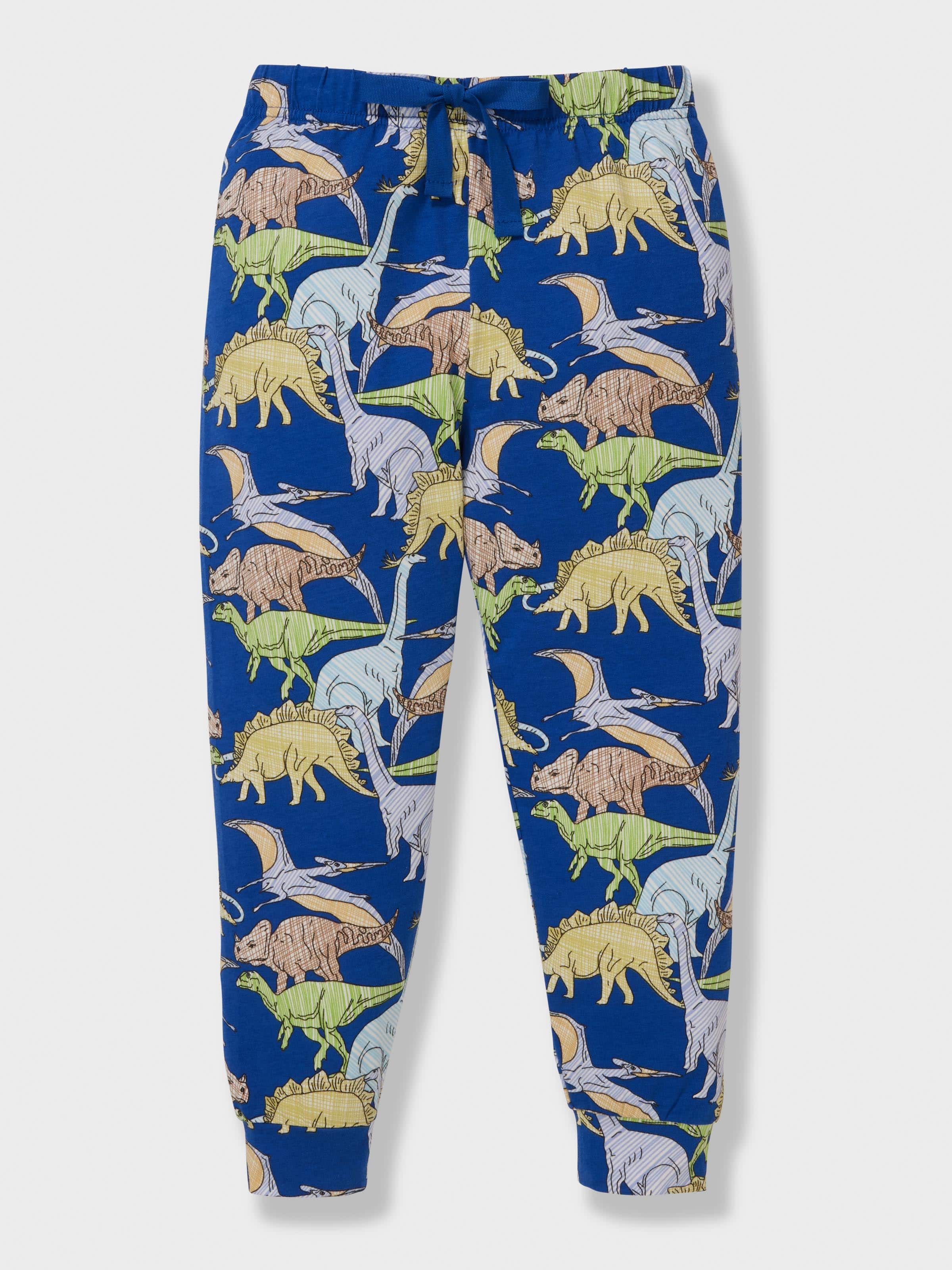Jnr Boys Dinosaurs Long Pj Set