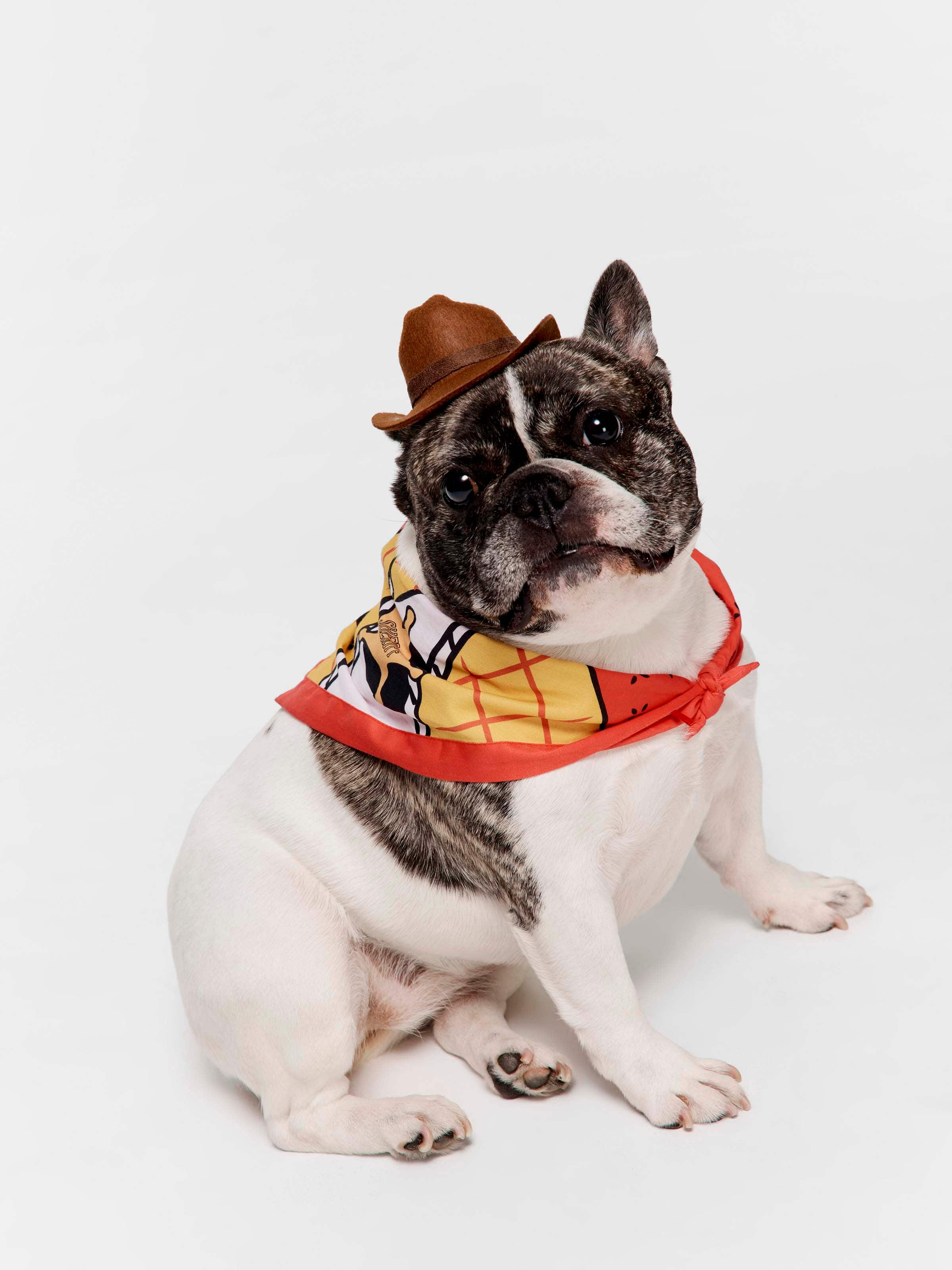 Toy Story Woody Pet Outfit.