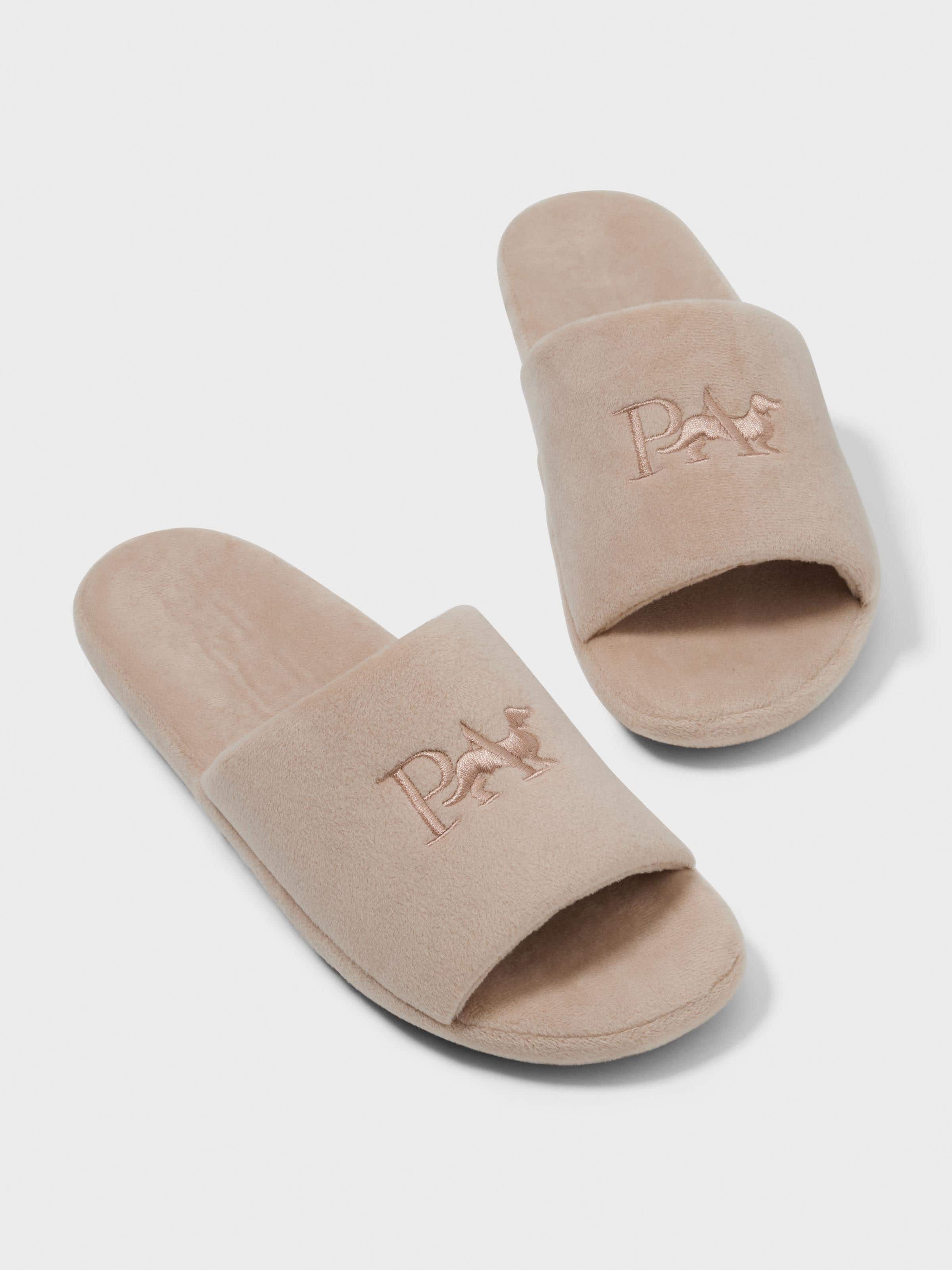 Penny Logo Slide
