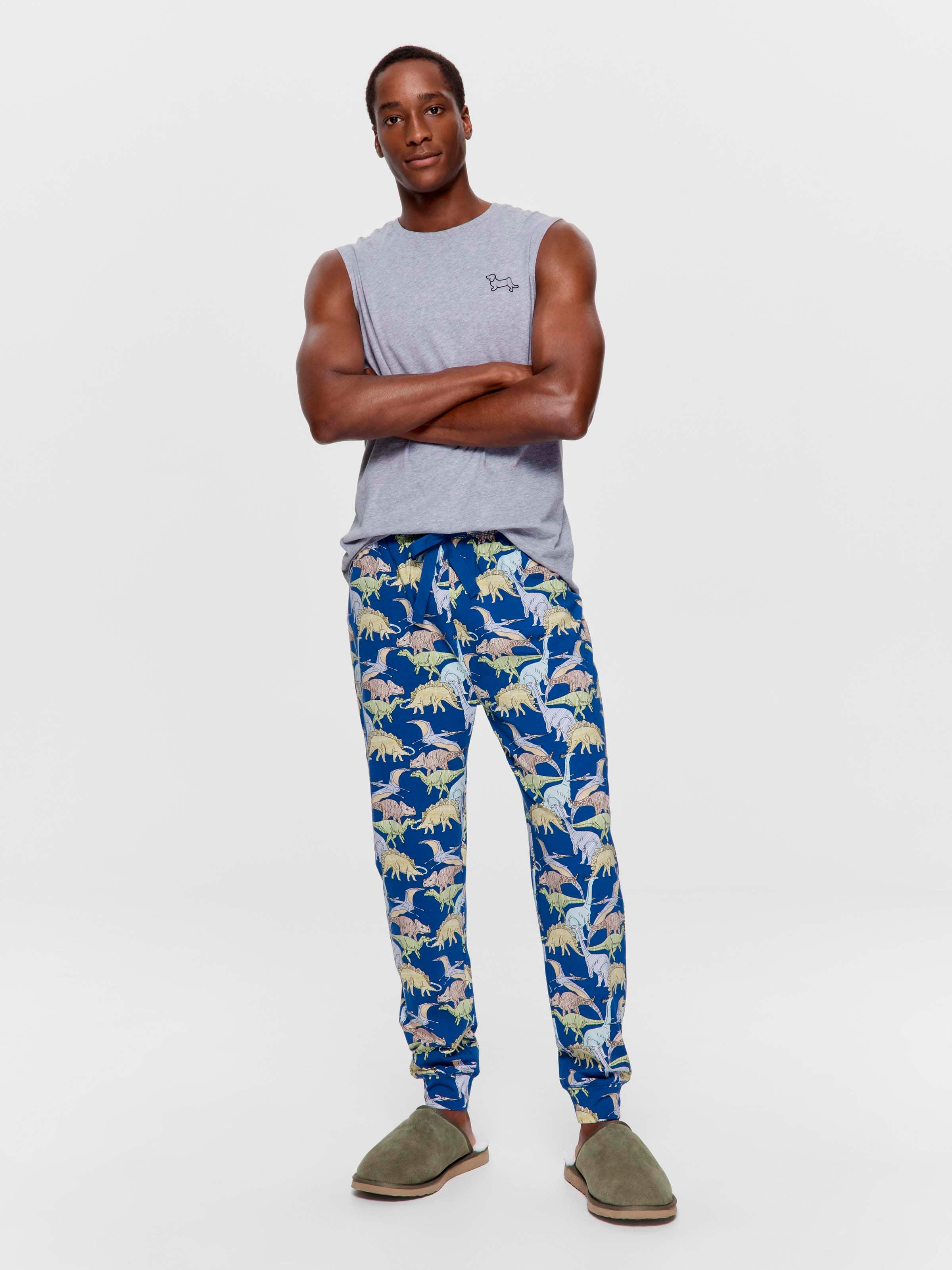 Dino Pj Jogger Pant