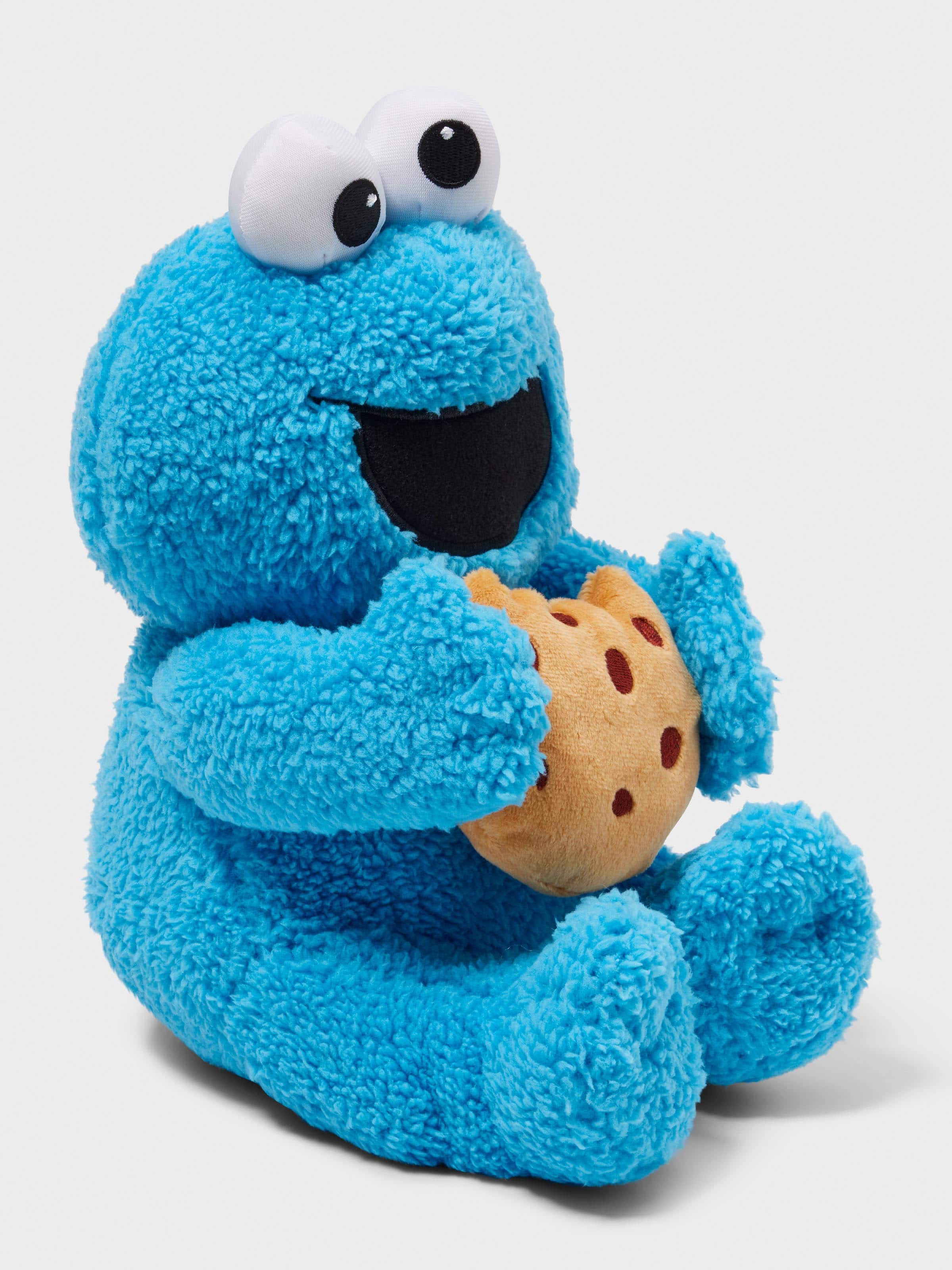 Cookie Monster Plush Toy