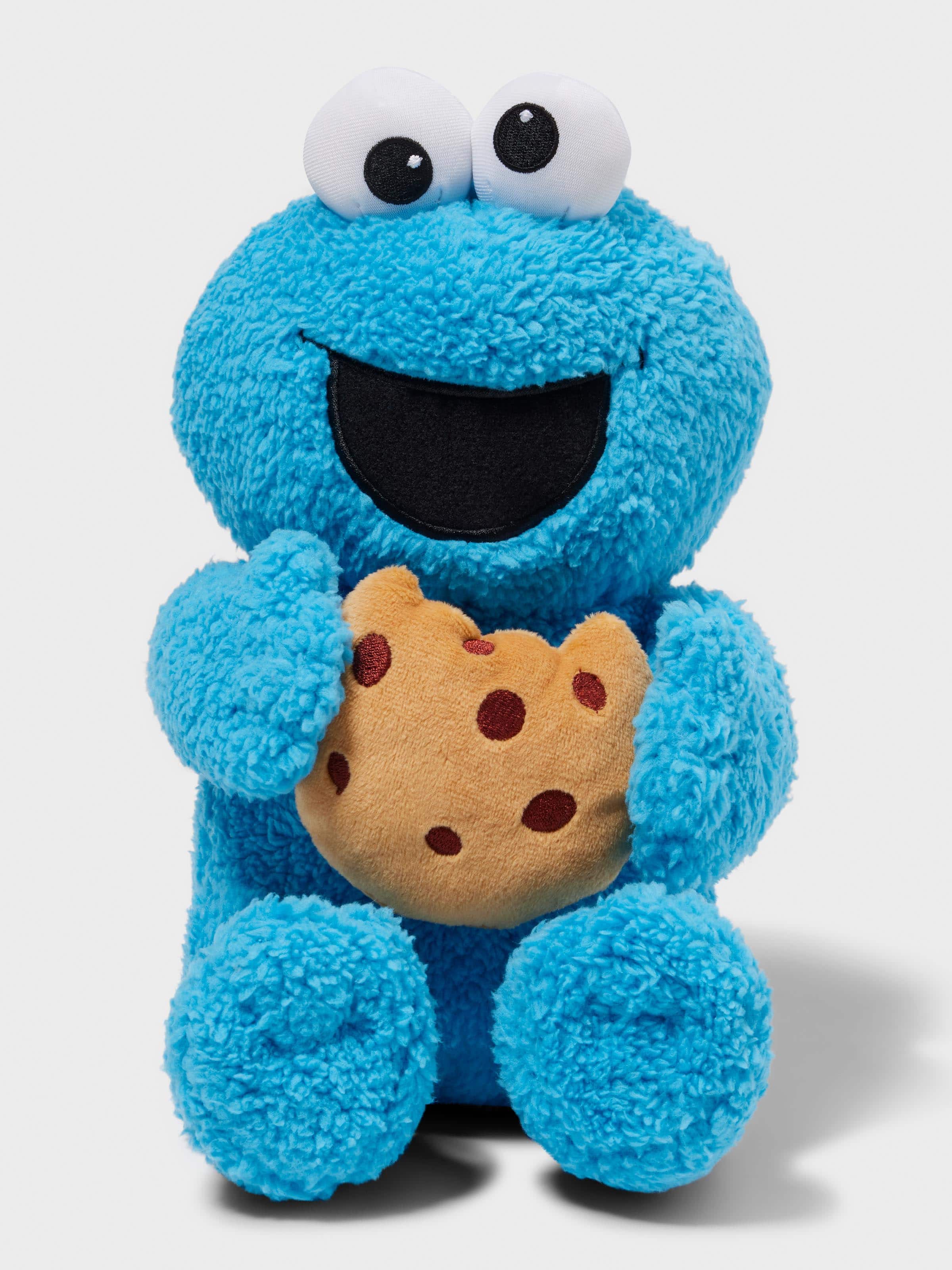 Cookie Monster Plush Toy