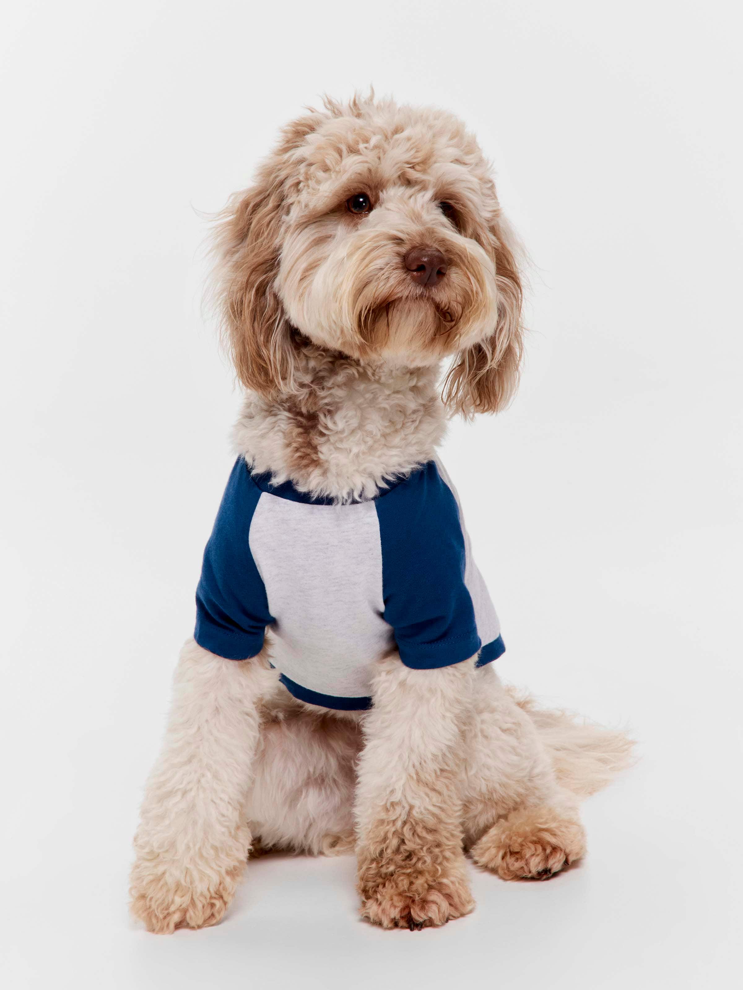 The Simpsons Doggy Tee
