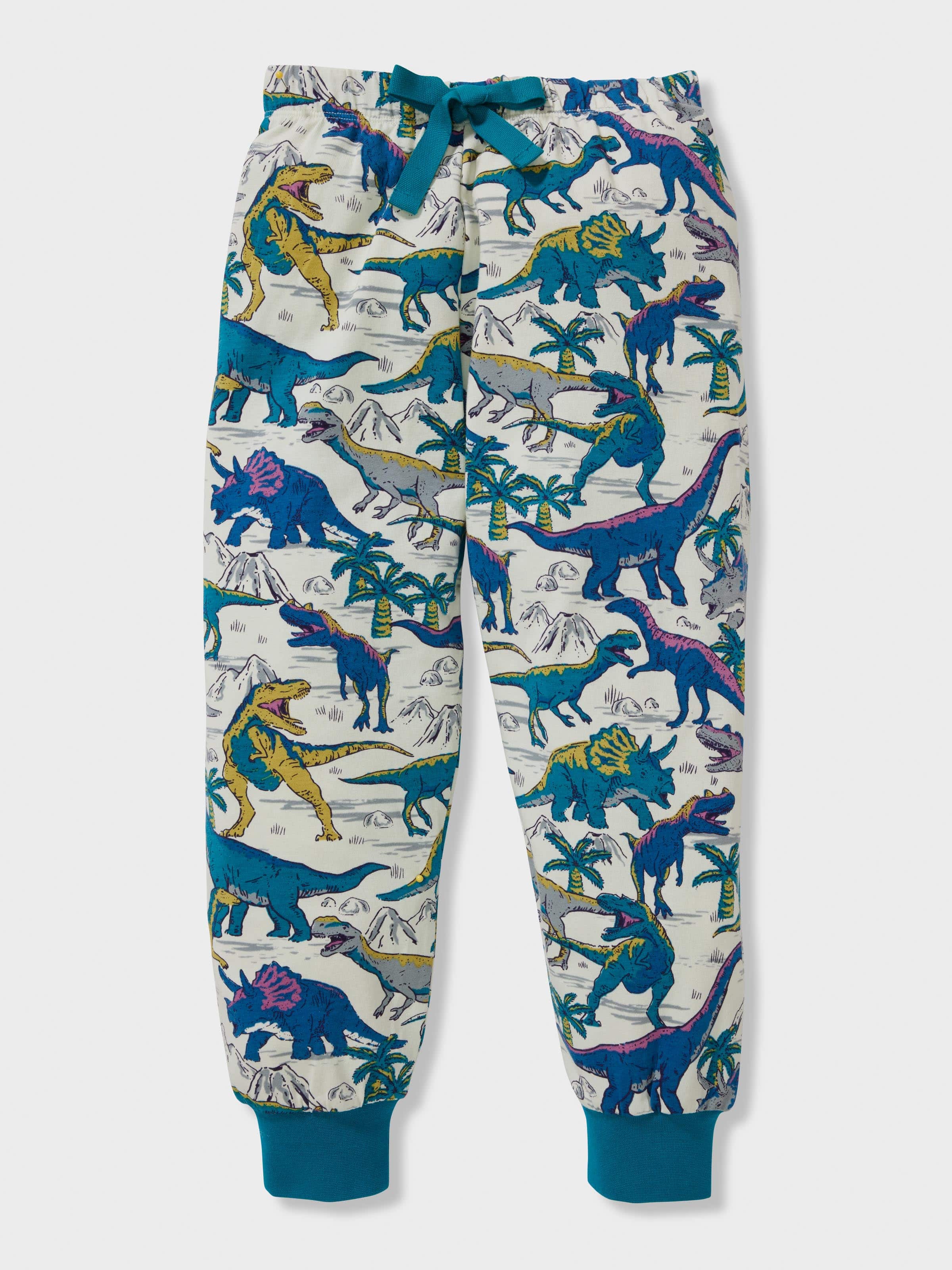 Jnr Boys Dinosaur Long Print Pj Set