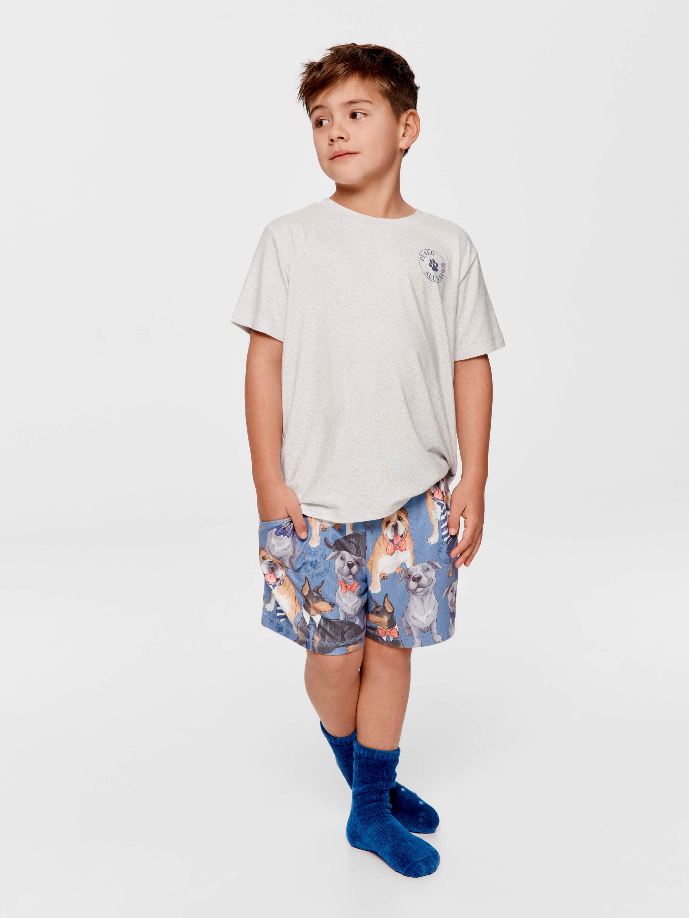 Boys Clever Dogs Plush Short Pj Set