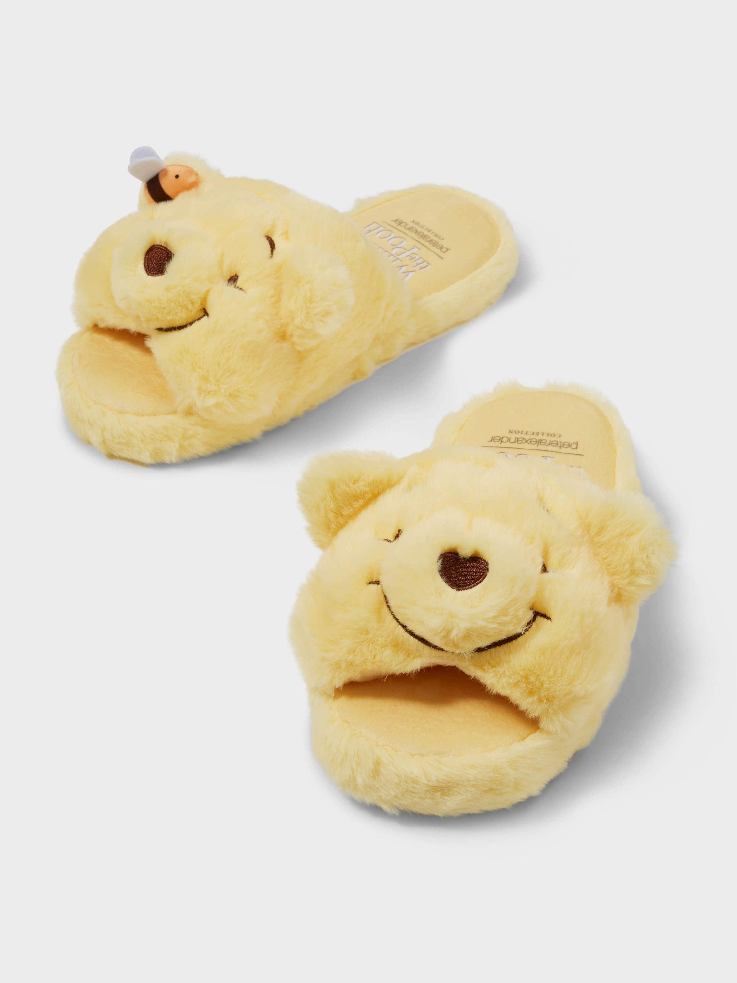 Winnie The Pooh Slide