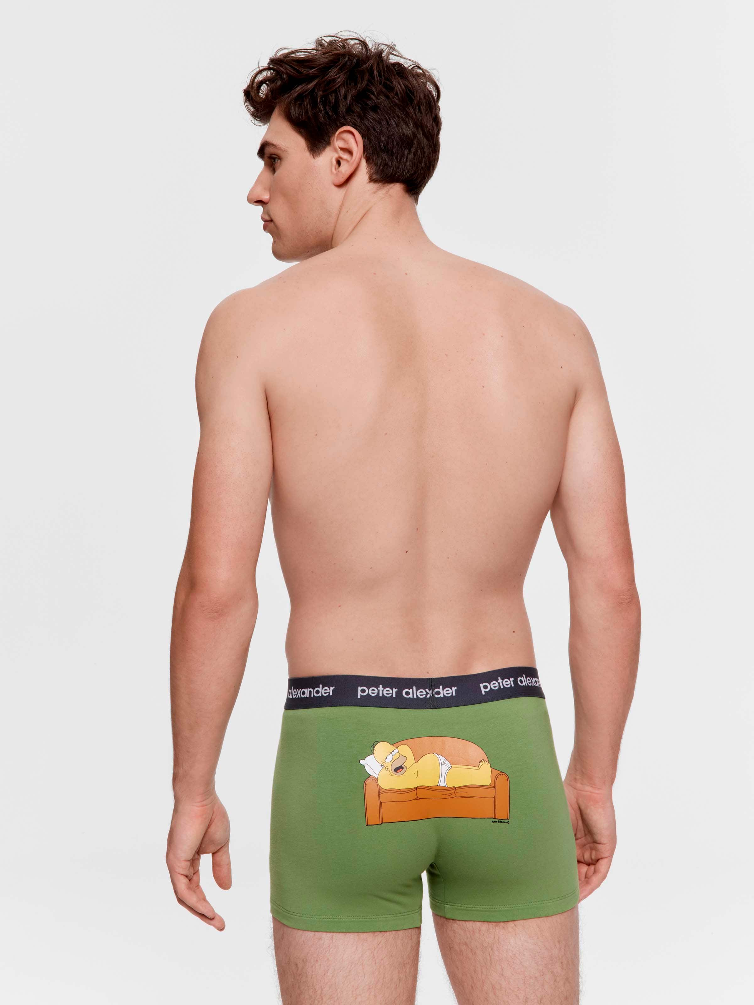 The Simpsons Homer Trunk