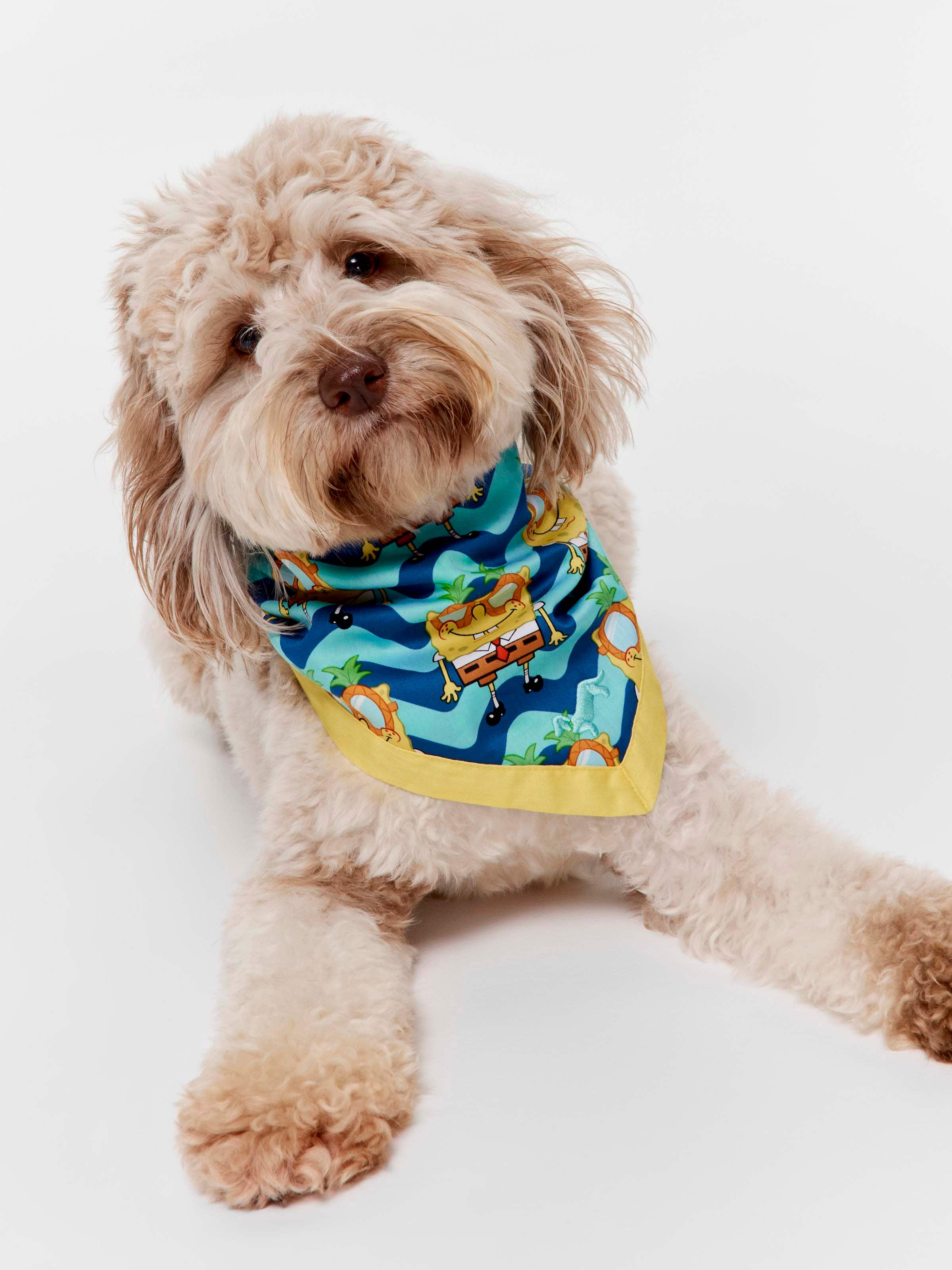 Spongebob Squarepants Dog Set