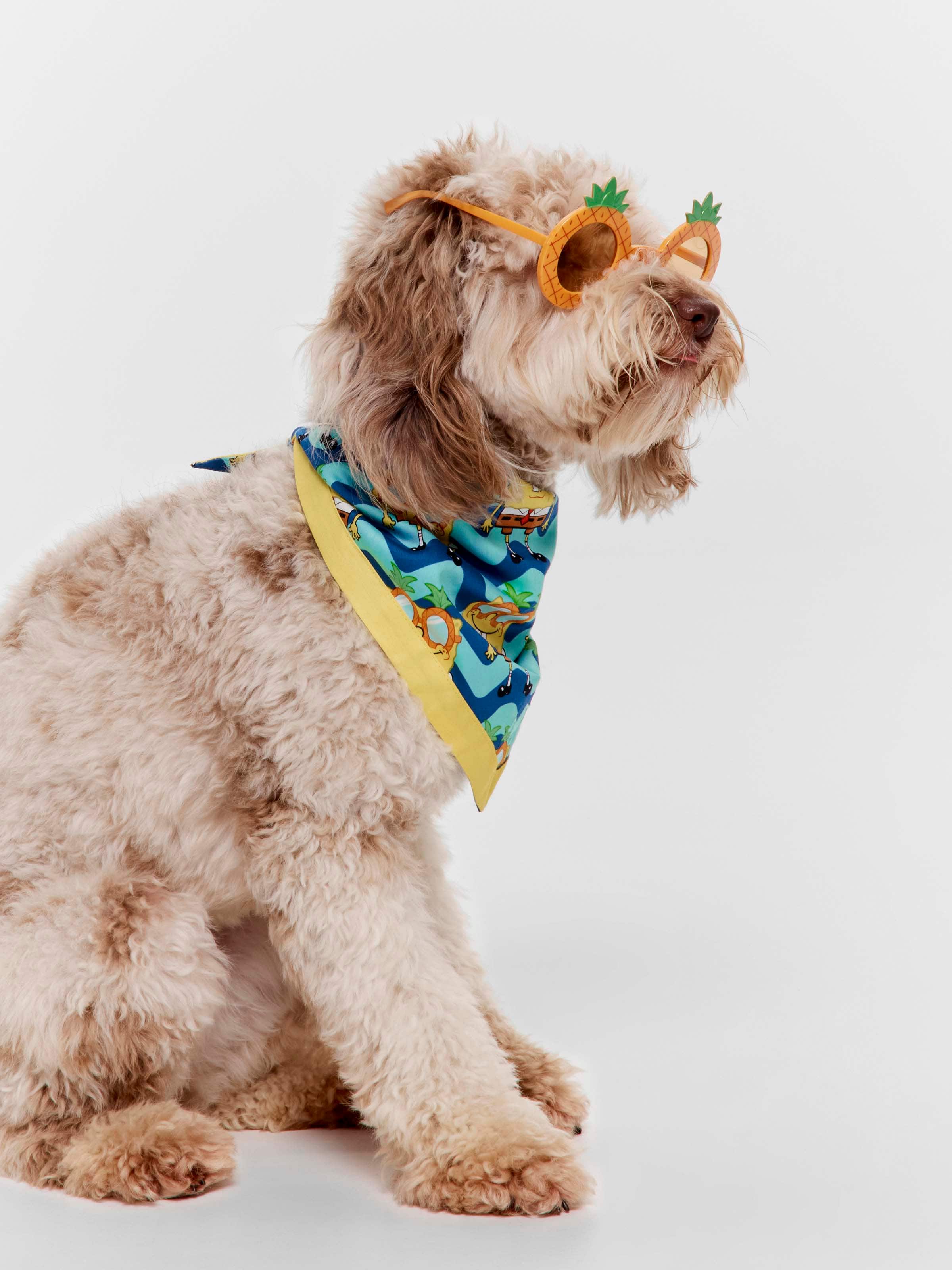 Spongebob Squarepants Dog Set