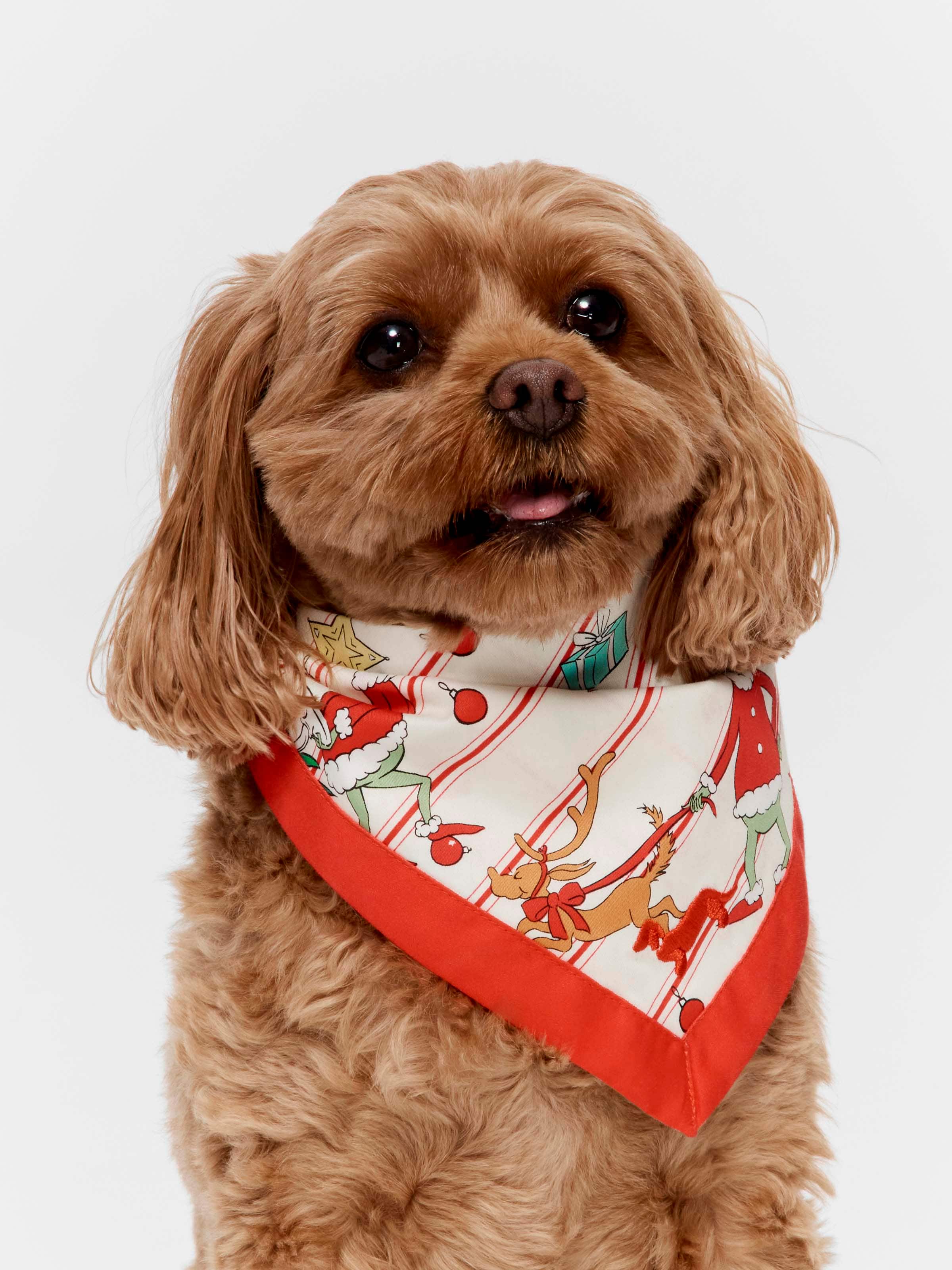 The Grinch Pet Bandana