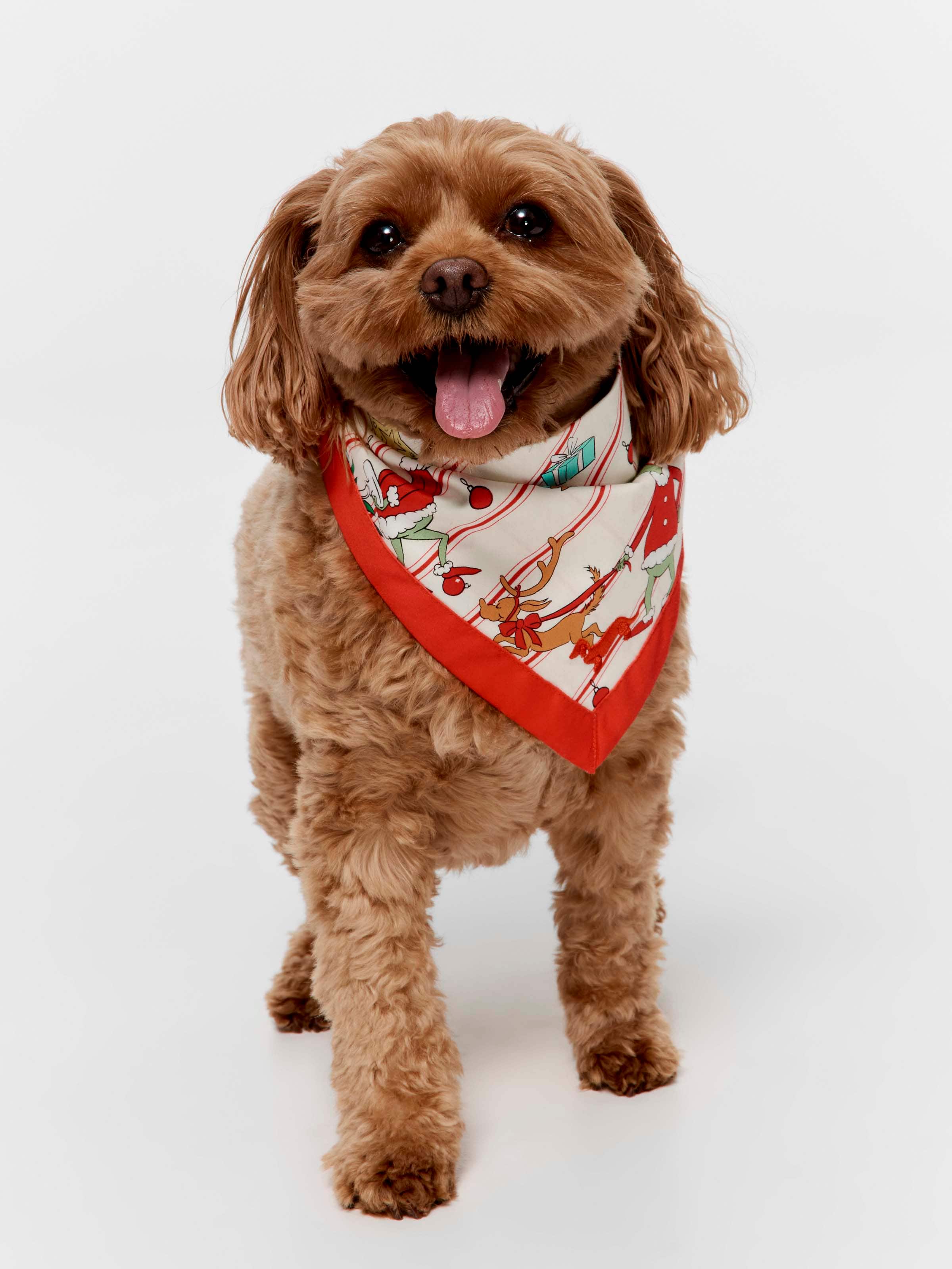 The Grinch Pet Bandana
