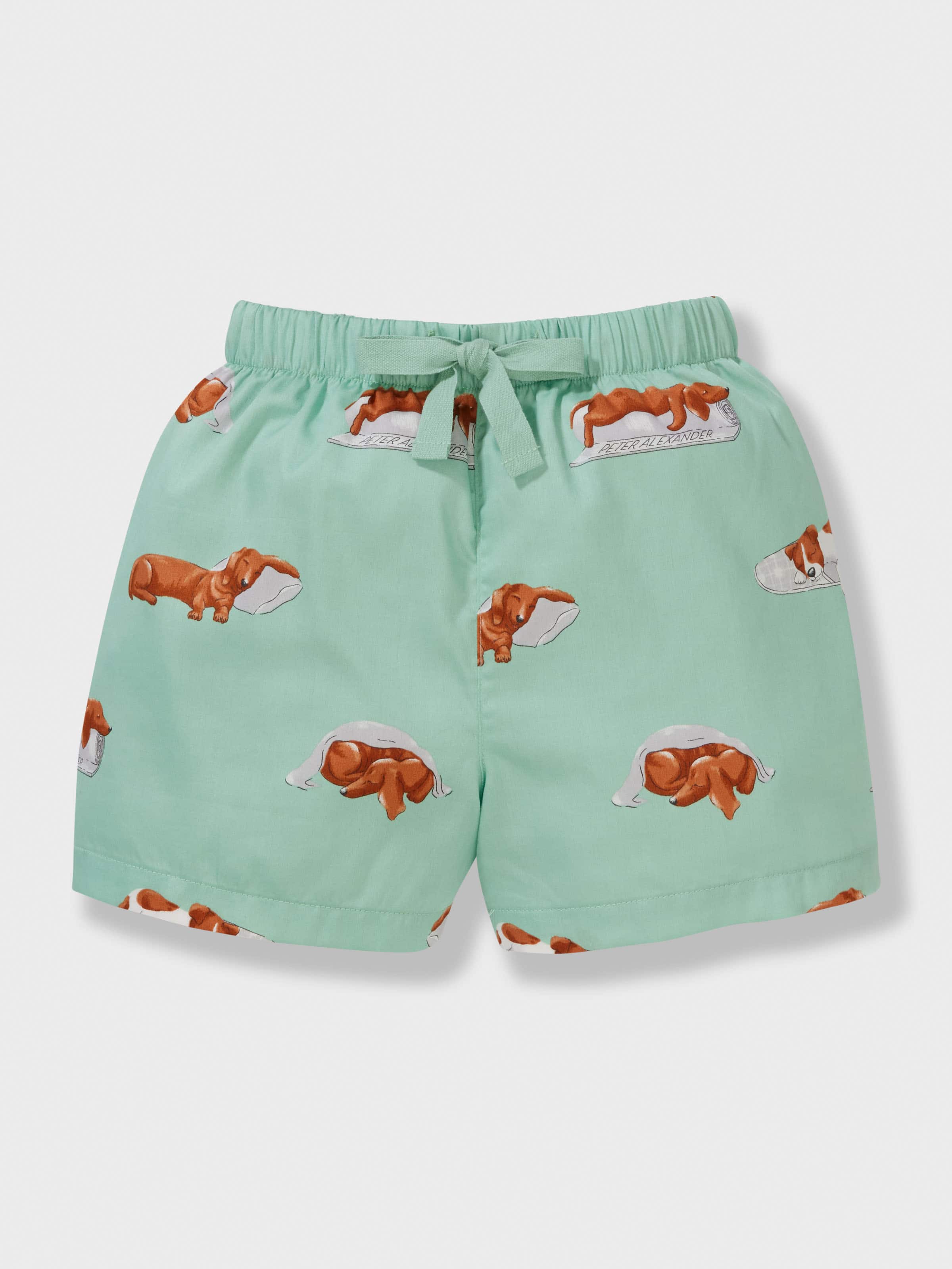Jnr Boys Sleeping Penny Short Pj Set