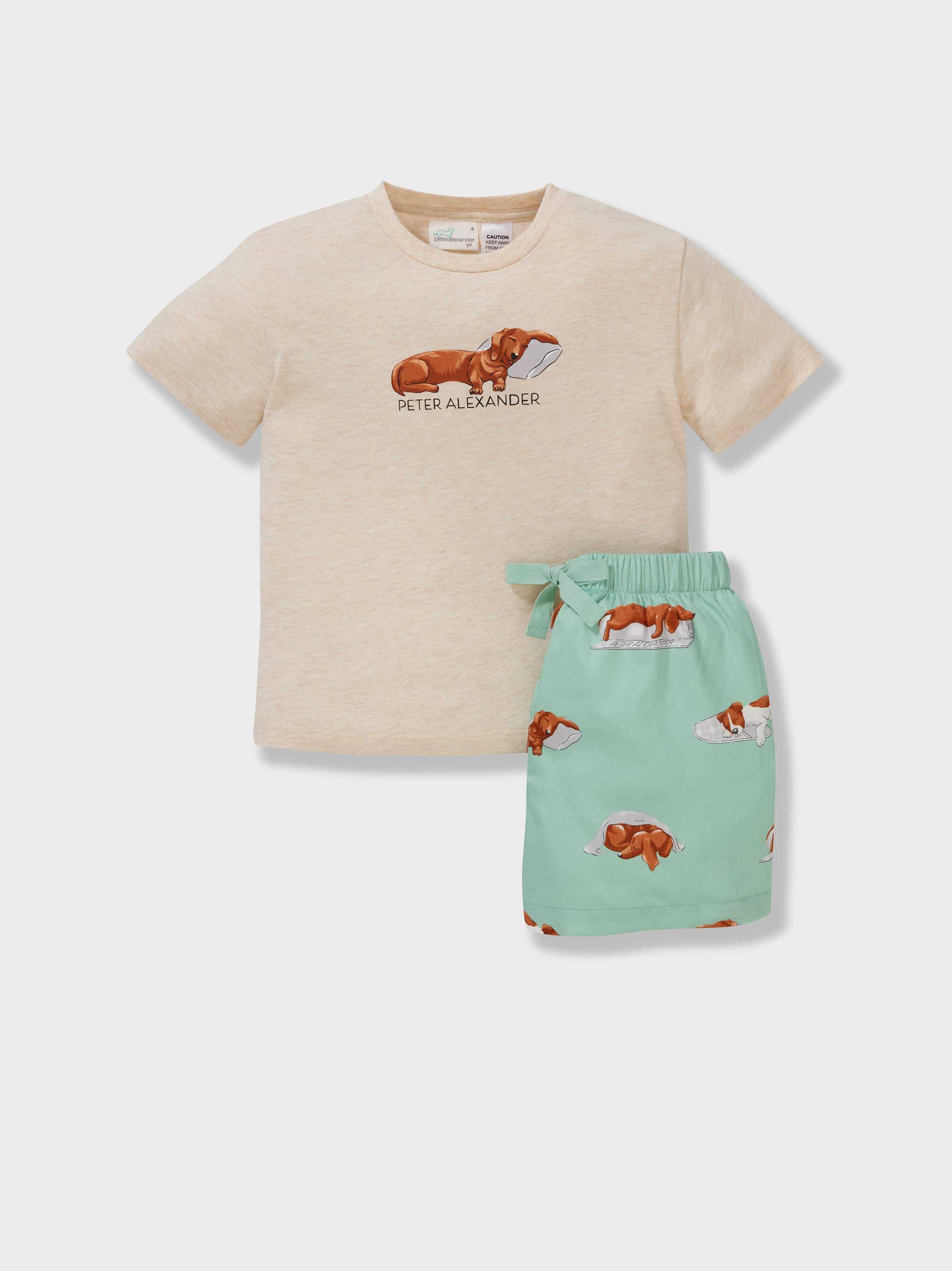 Jnr Boys Sleeping Penny Short Pj Set