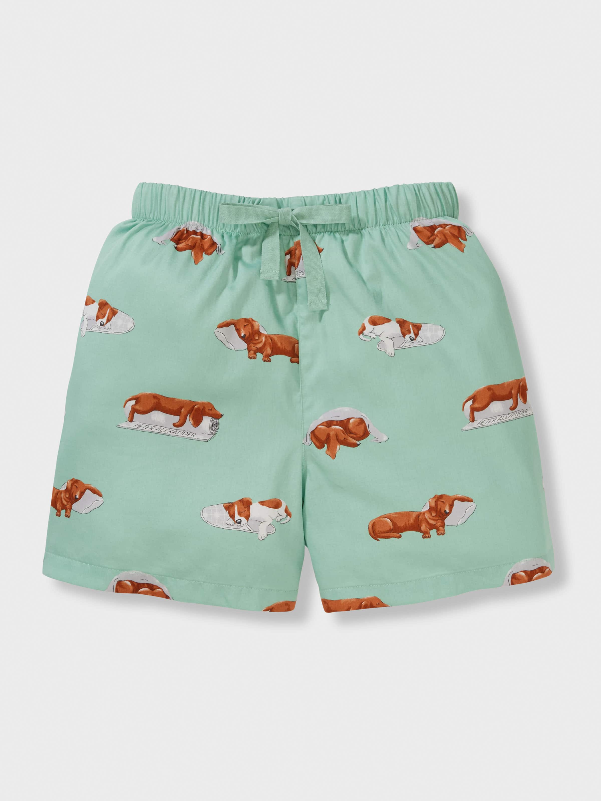 Boys Sleeping Penny Short Pj Set