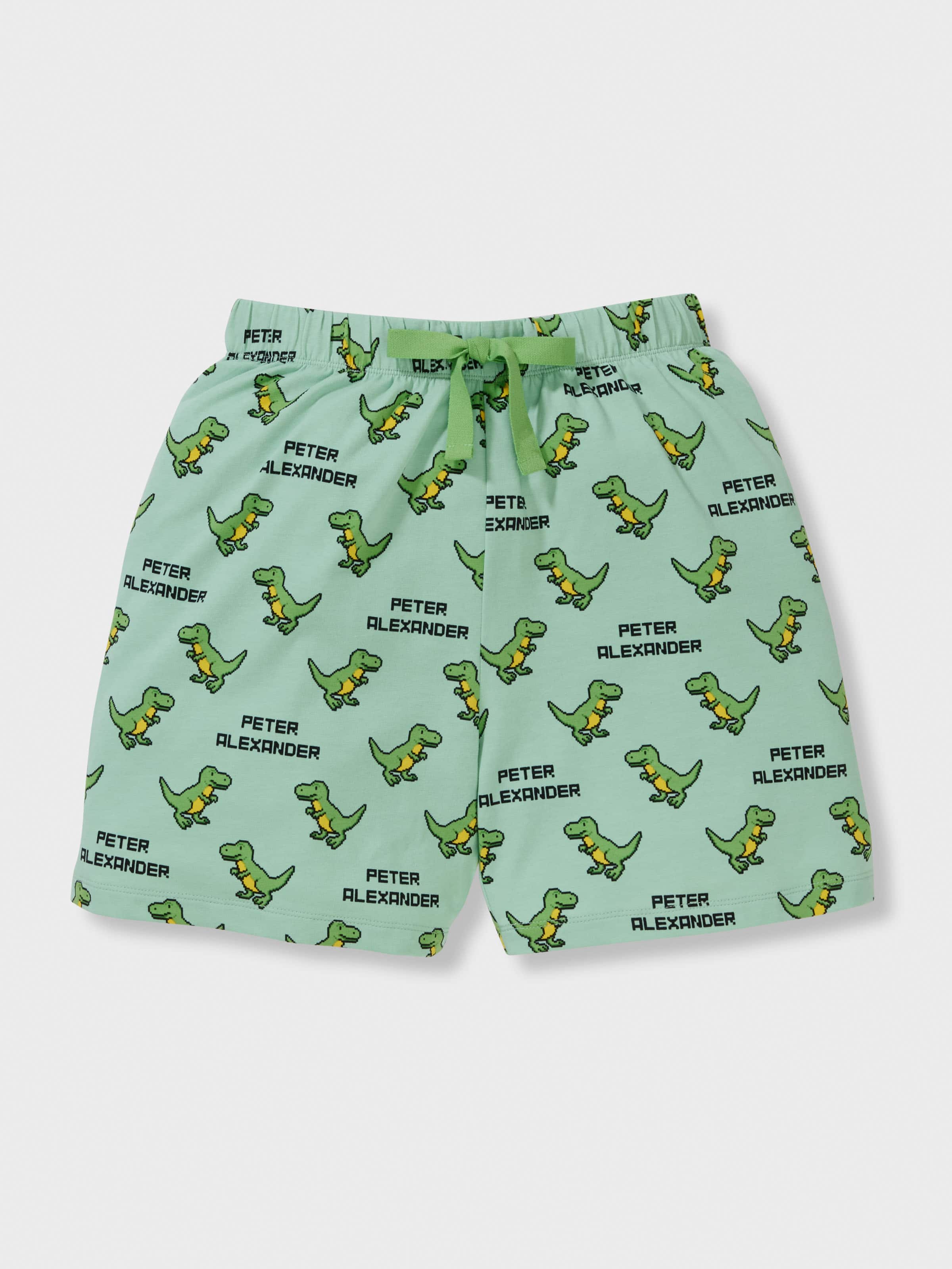 Boys Digital Dino Short Pj Set