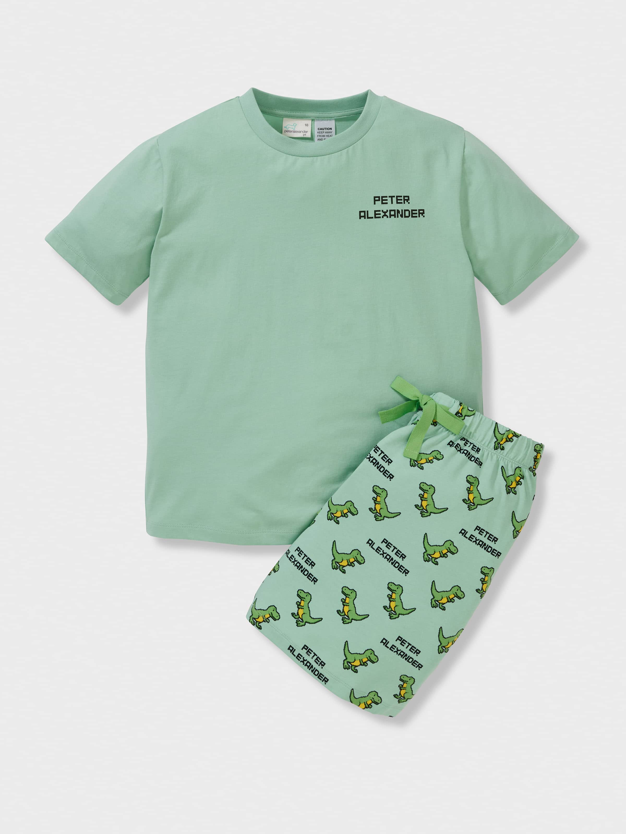 Boys Digital Dino Short Pj Set