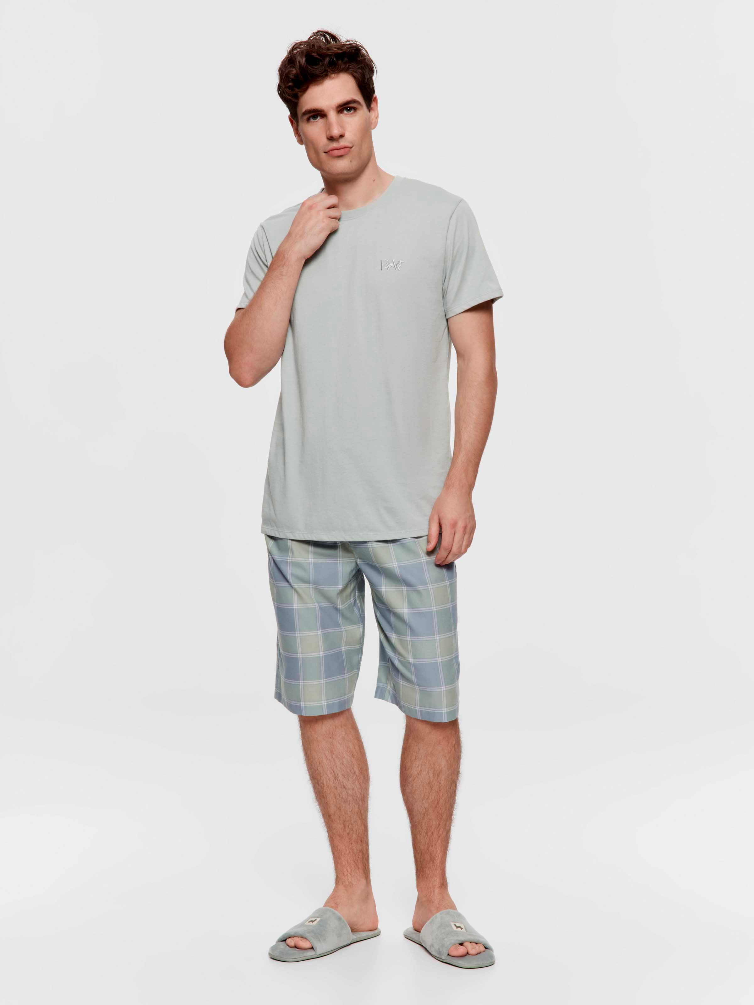 Classic Penny Logo Pop Colour Sage Tee