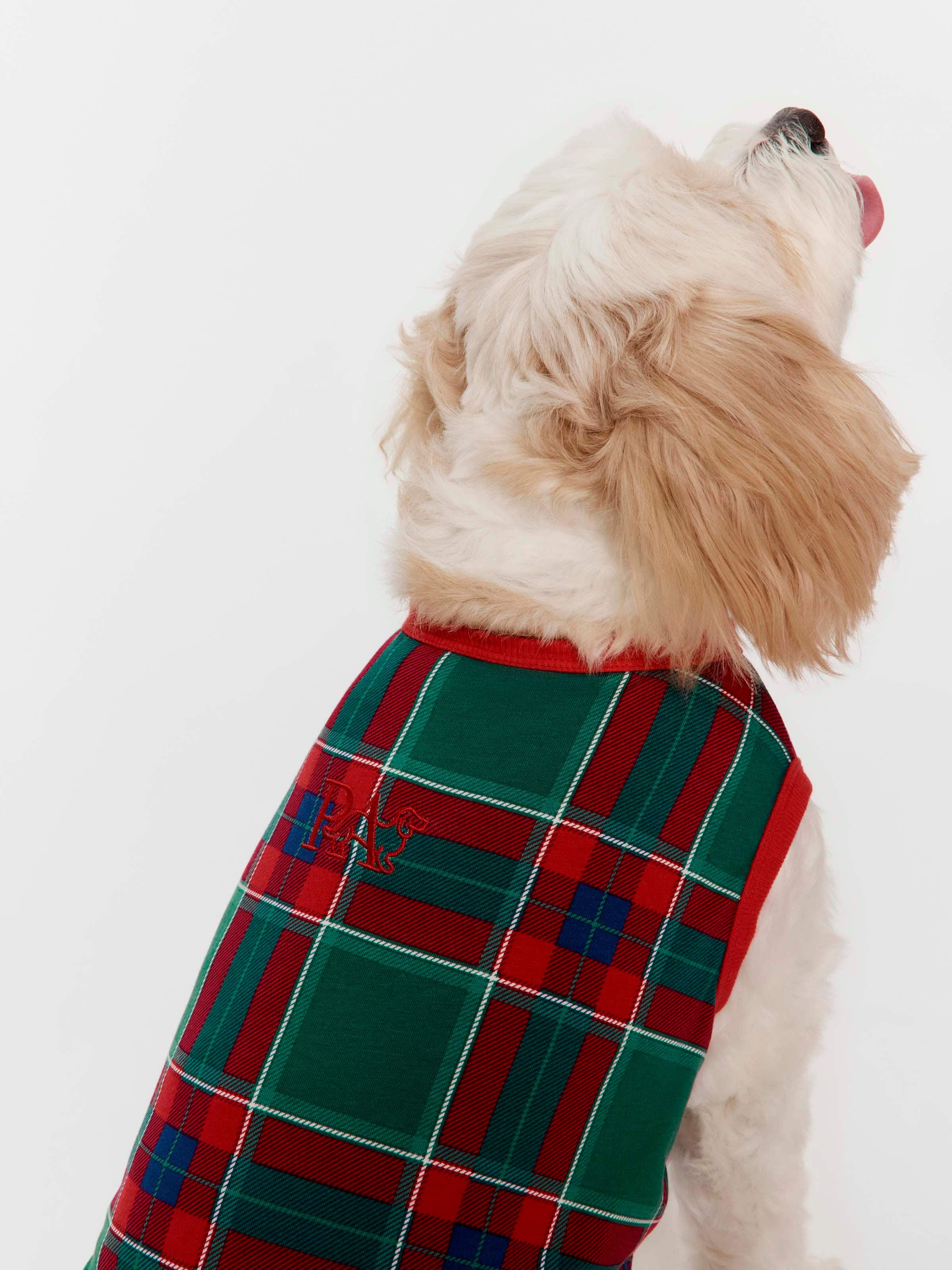 Tartan Boxed Dog Tee