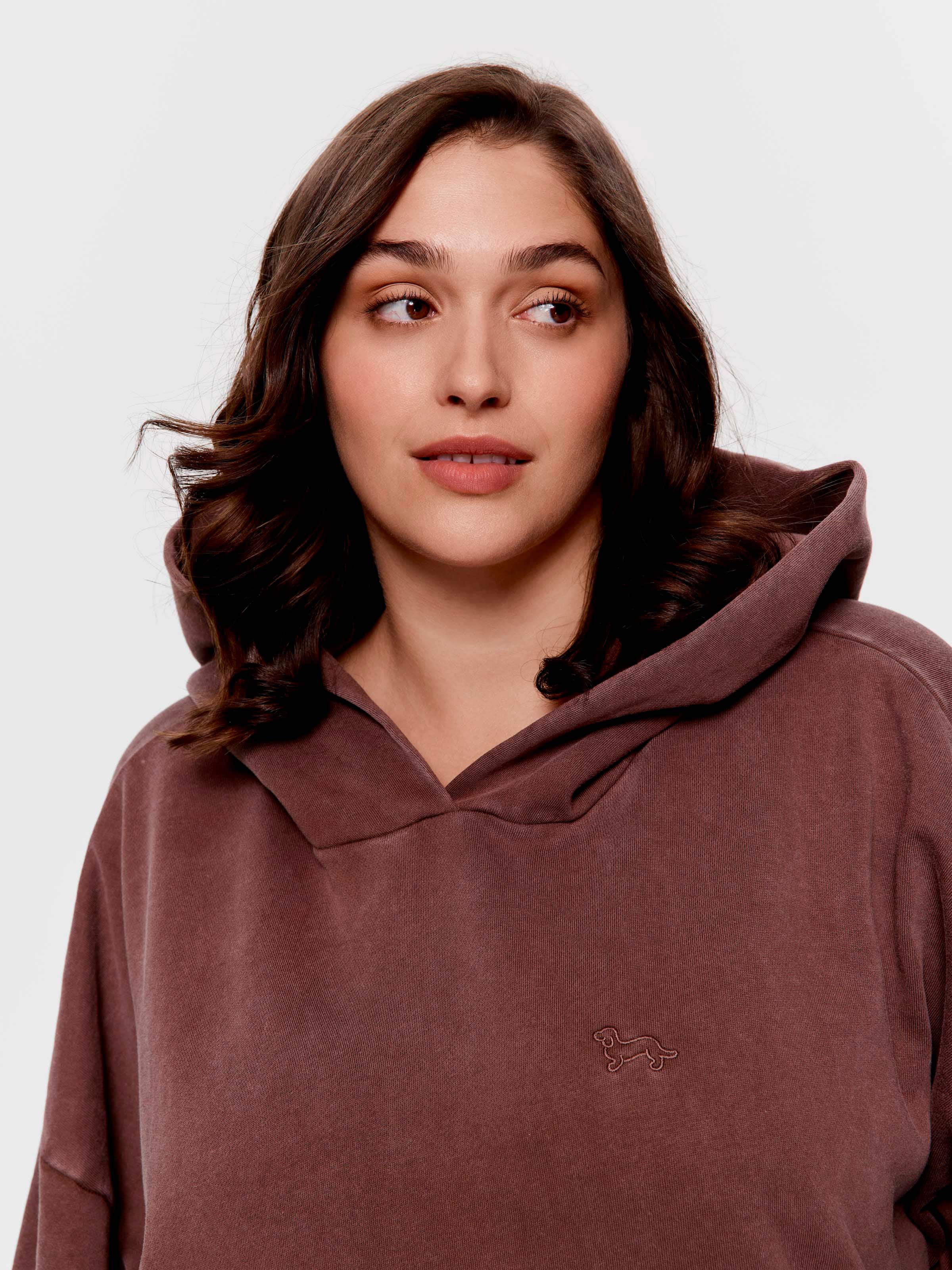 P.A. Plus Chocolate Fleece Hoodie
