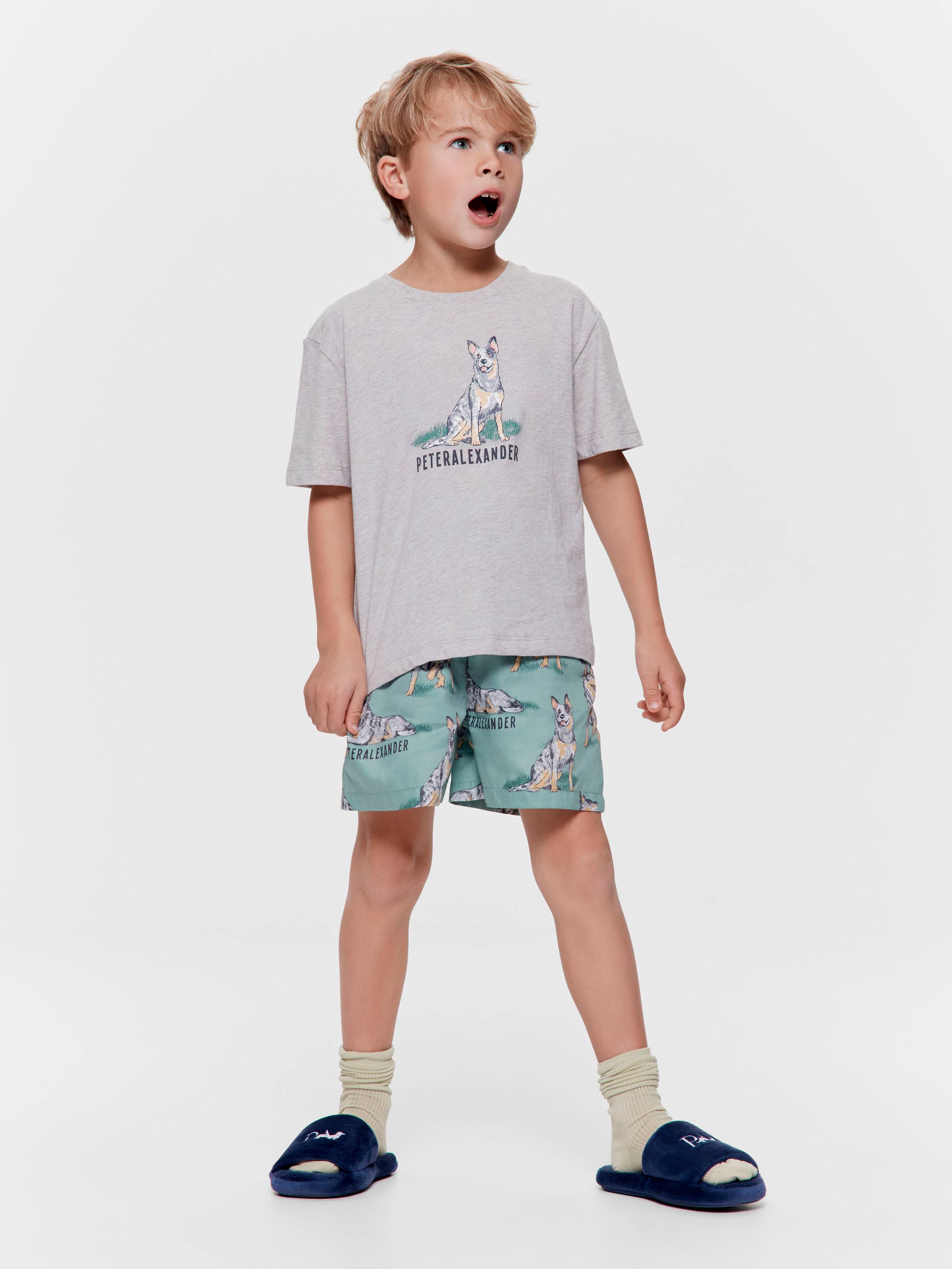 Jnr Boys Blue Heeler 100% Cotton Short Pj Set